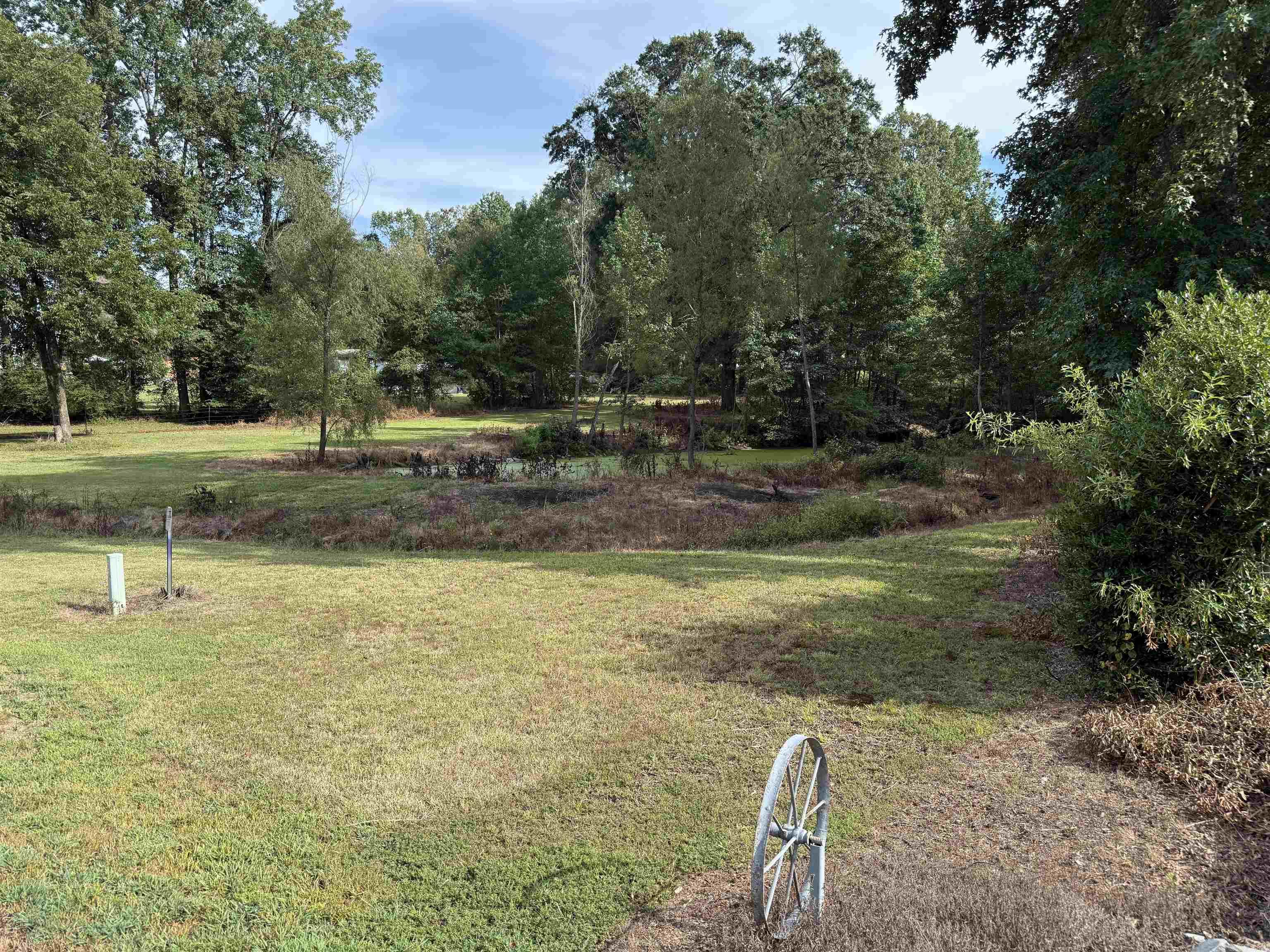 271 Trailwood Drive Property Photo 37