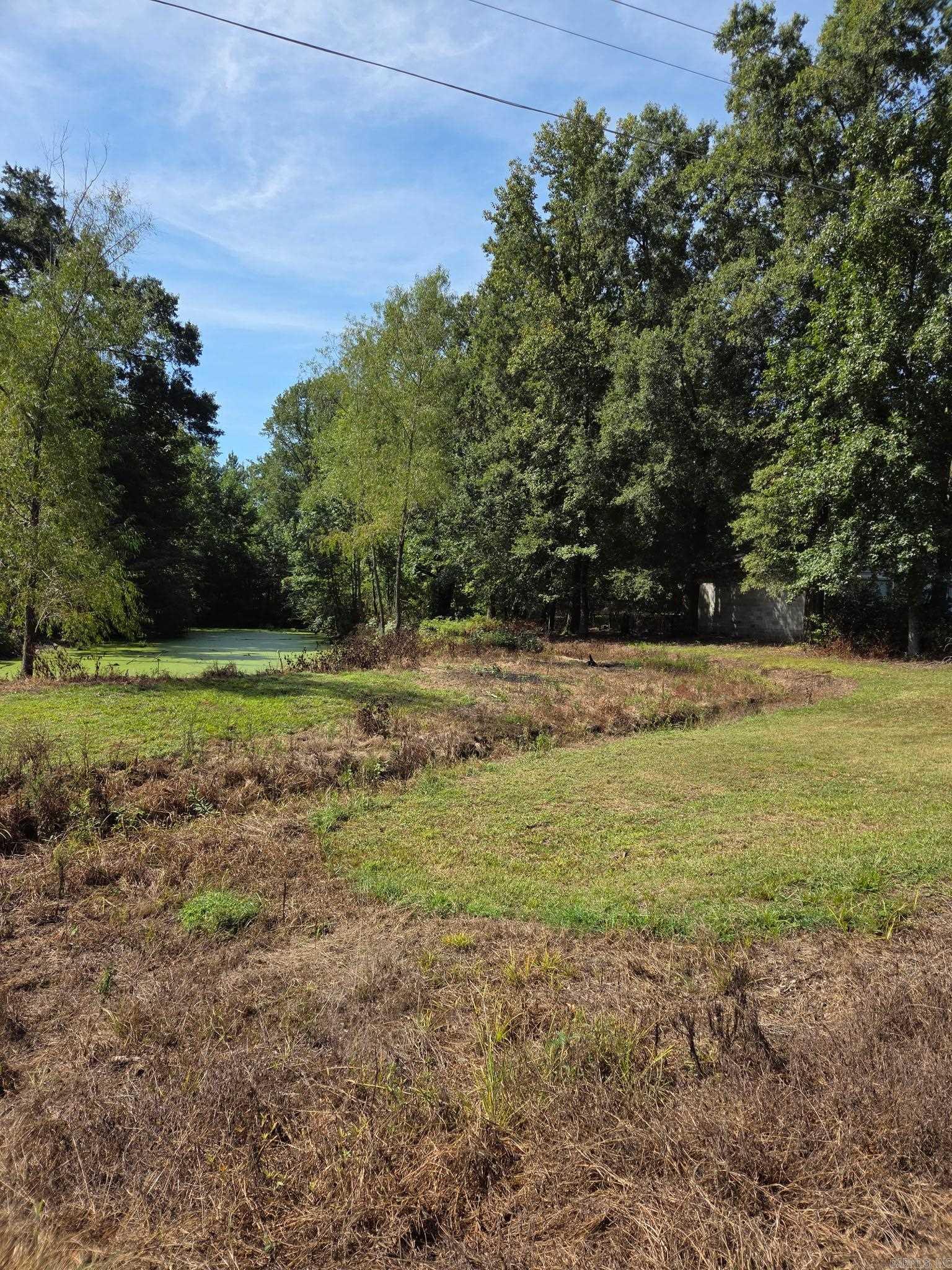 271 Trailwood Drive Property Photo 39