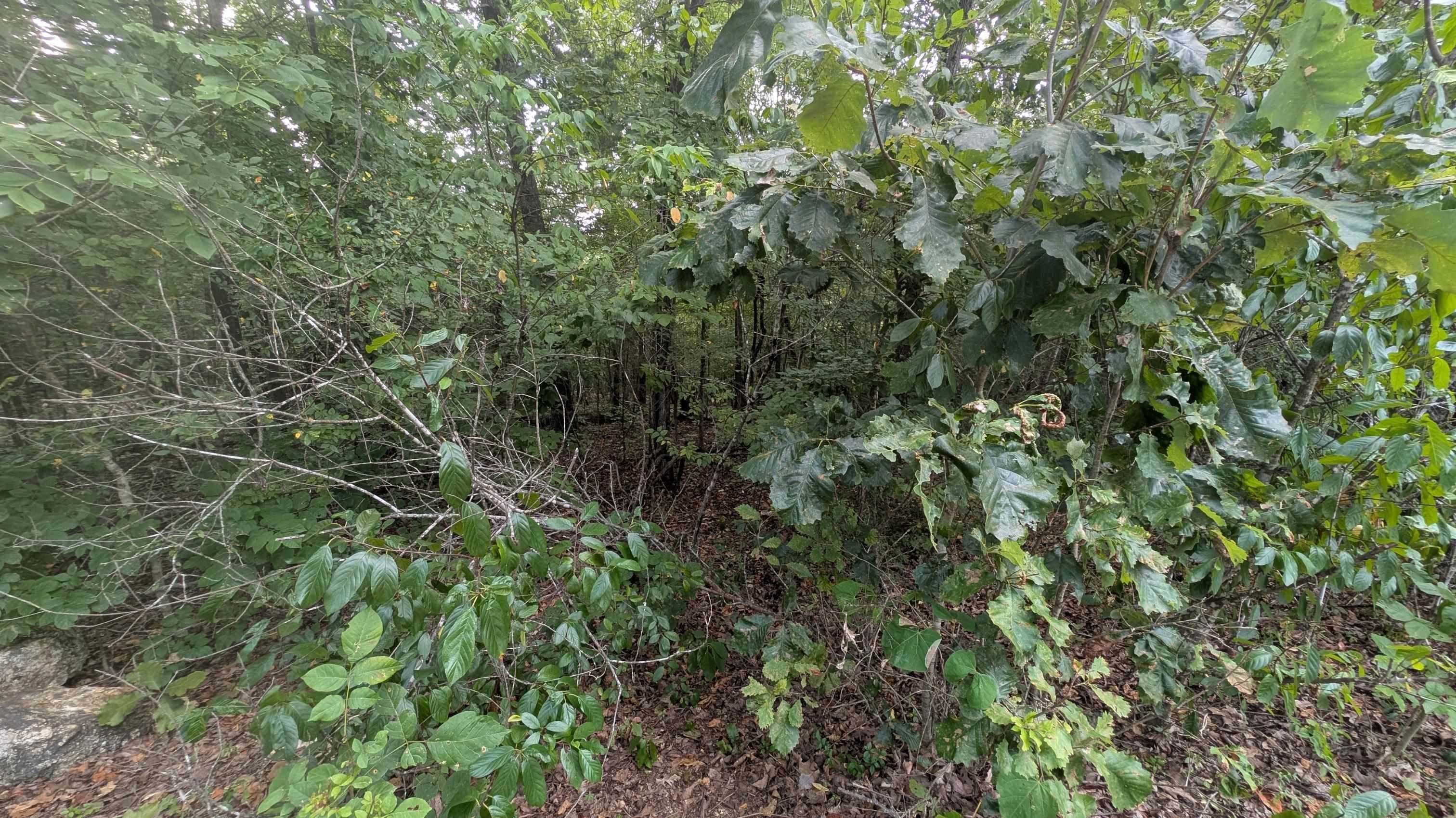 Tonto Drive Property Photo 4