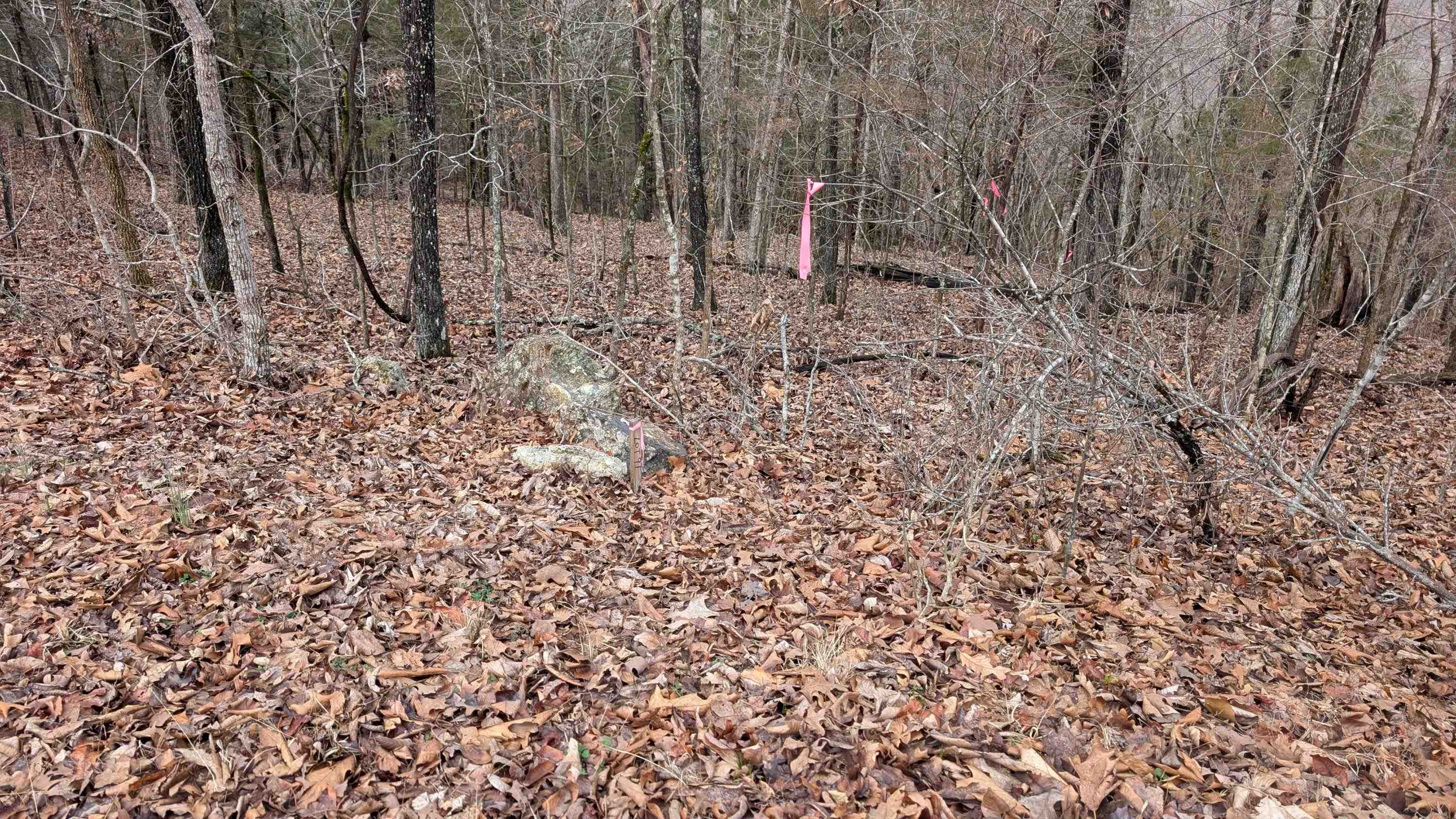 Tonto Drive Property Photo 11