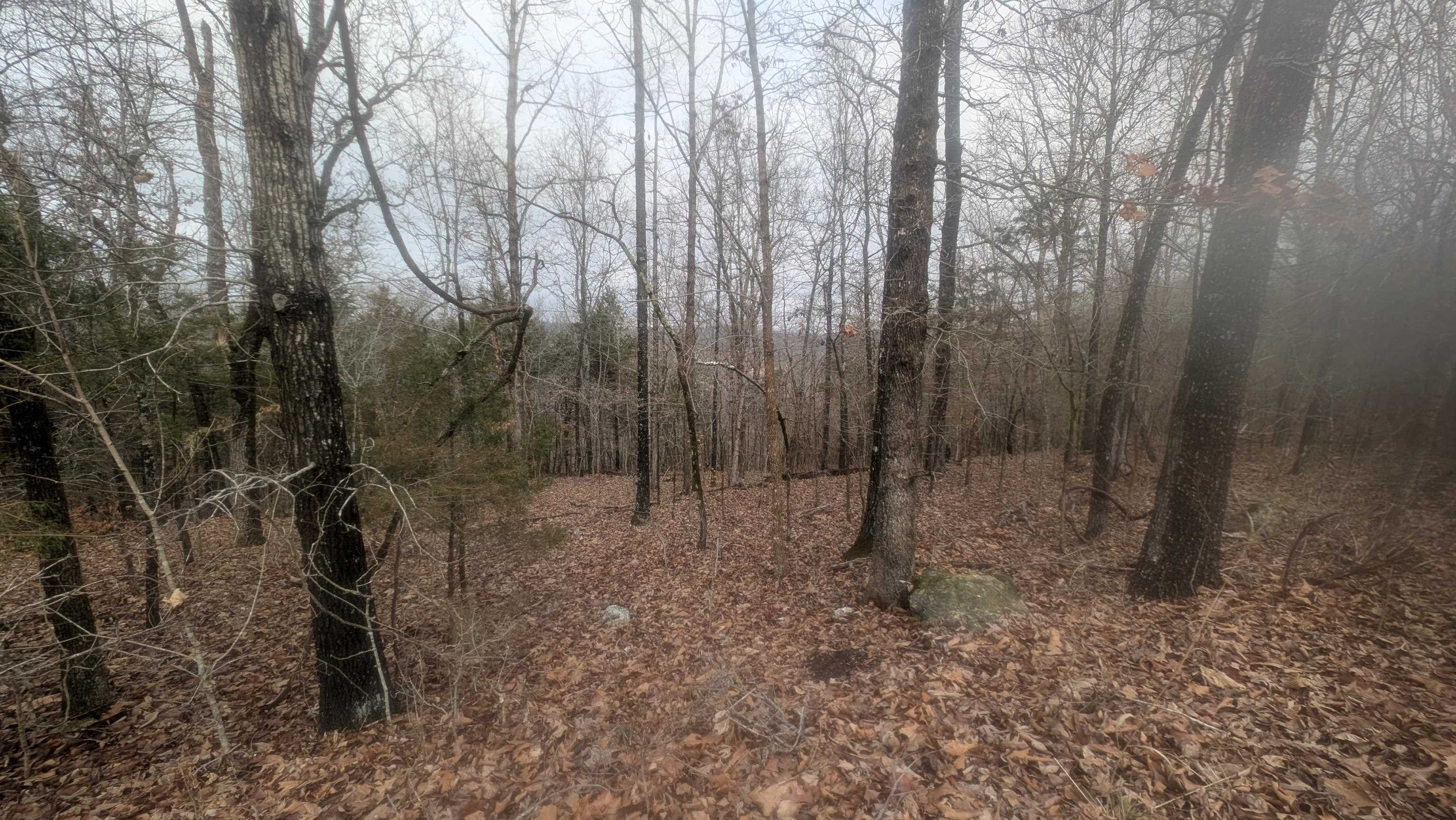 Tonto Drive Property Photo 14