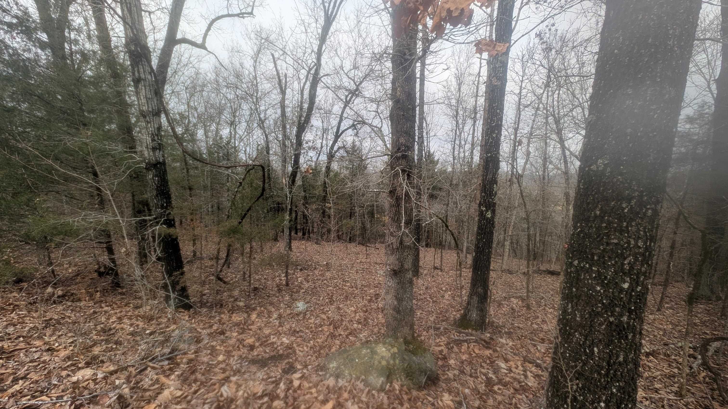Tonto Drive Property Photo 16