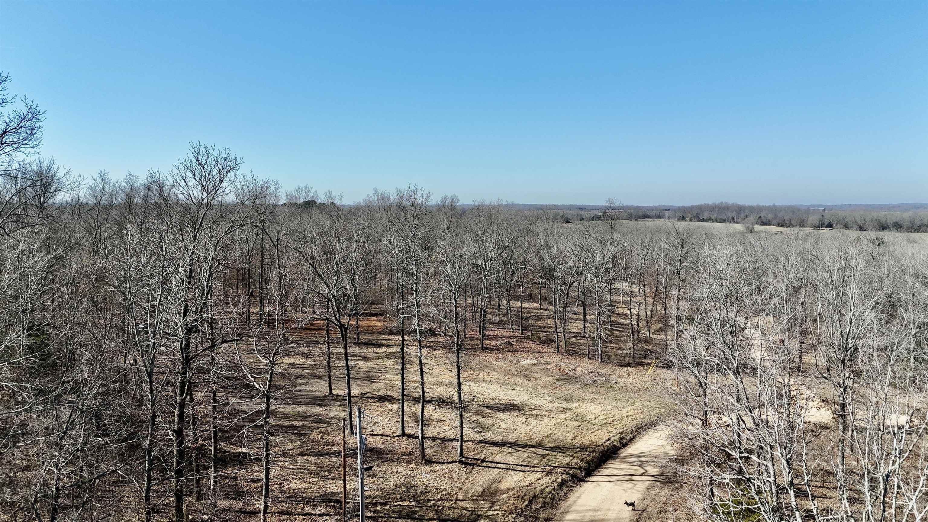 200 Lakeview Property Photo 5