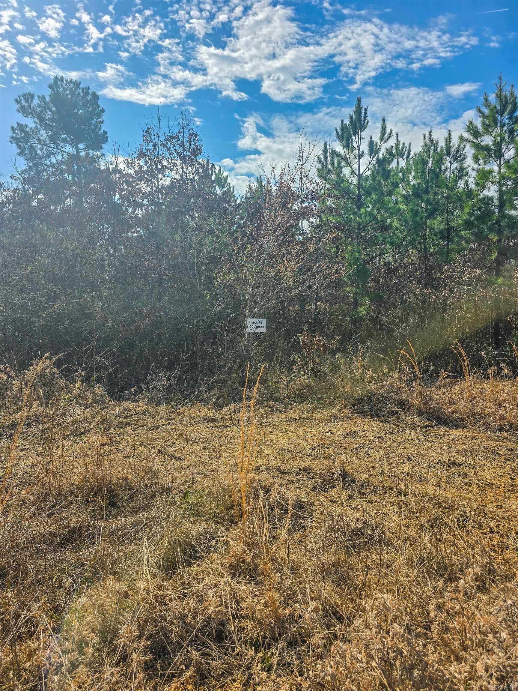 Tract 76 Aj Lewis Drive Property Photo 3