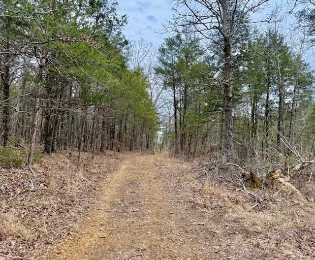 0000 Buck Ridge Lane Property Photo 2