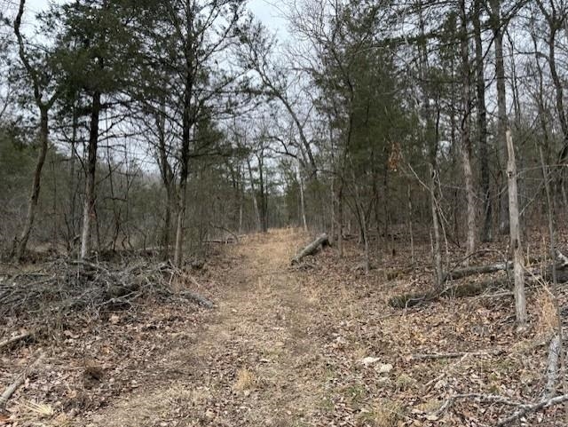 0000 Buck Ridge Lane Property Photo 3