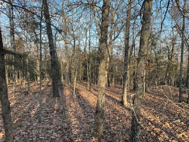 0000 Buck Ridge Lane Property Photo 4
