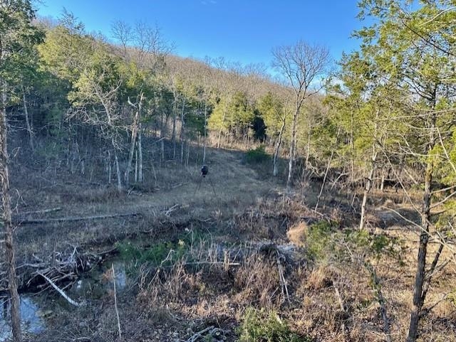 0000 Buck Ridge Lane Property Photo 5