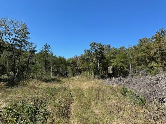 0000 Buck Ridge Lane Property Photo 6