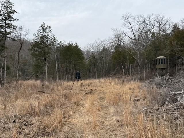 0000 Buck Ridge Lane Property Photo 7