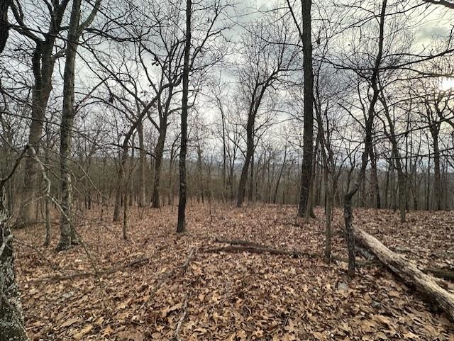 0000 Buck Ridge Lane Property Photo 10