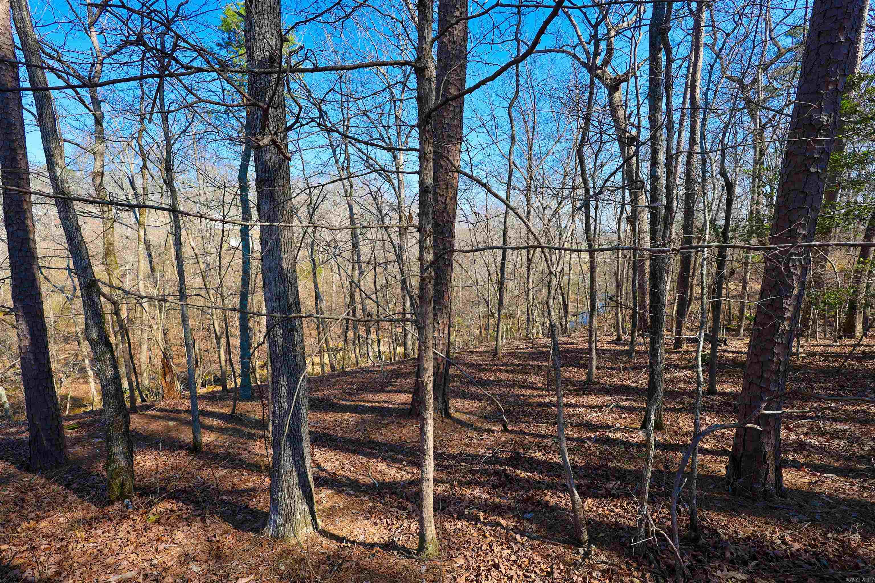 64 E Riverwatch Lane Property Photo 48