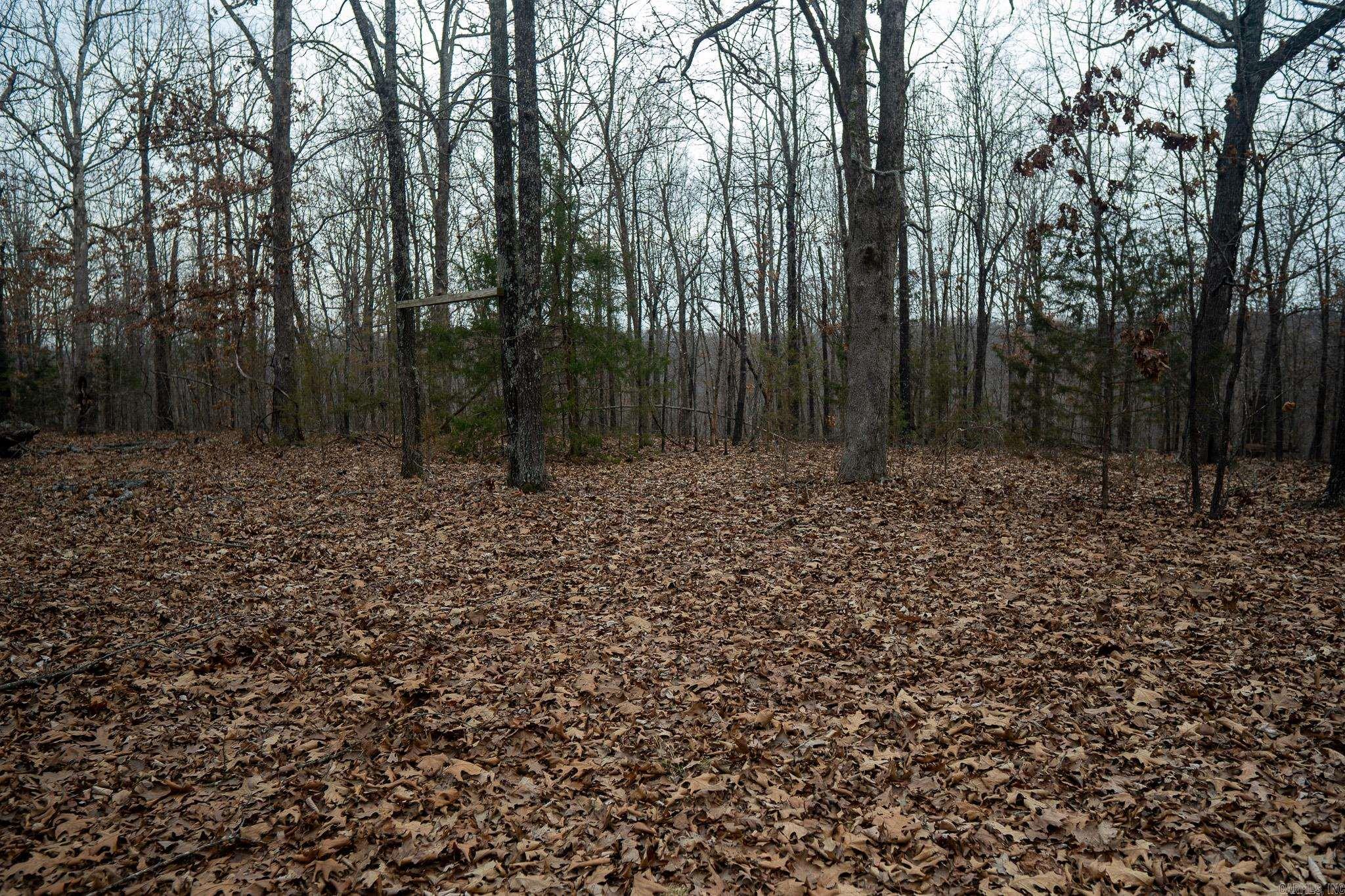 000 Nubbin Ridge Road Property Photo 1