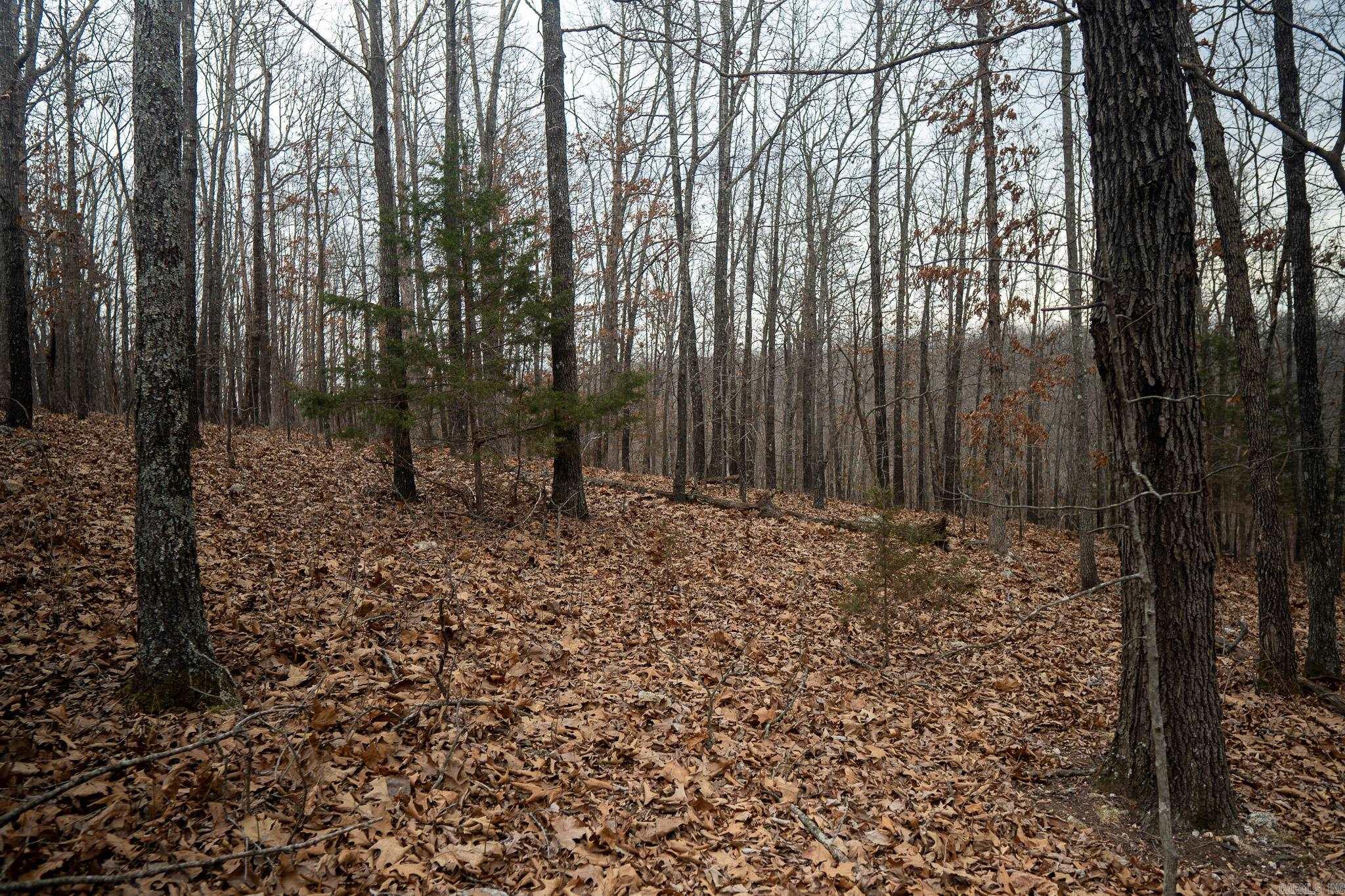 000 Nubbin Ridge Road Property Photo 2
