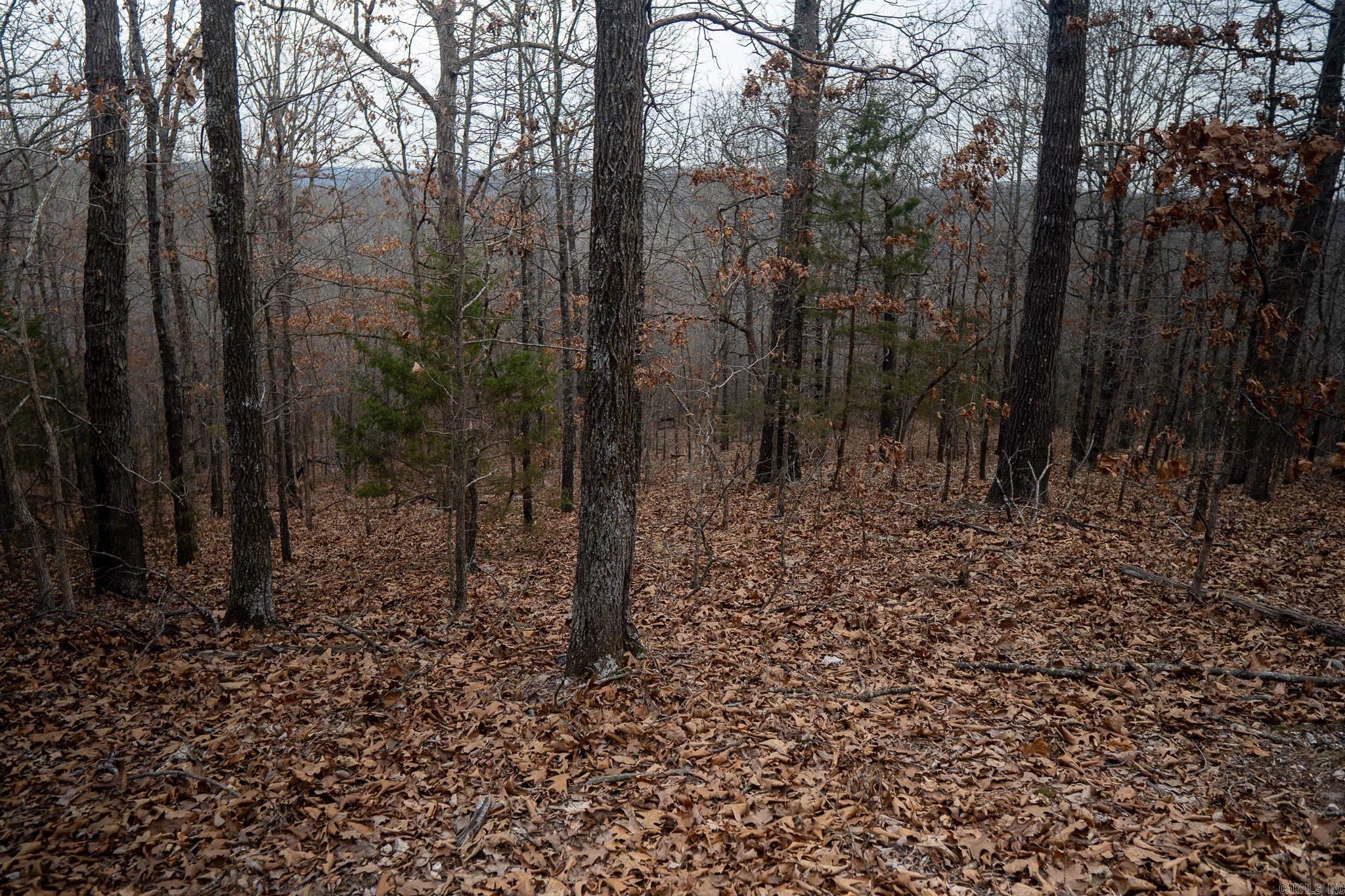 000 Nubbin Ridge Road Property Photo 3