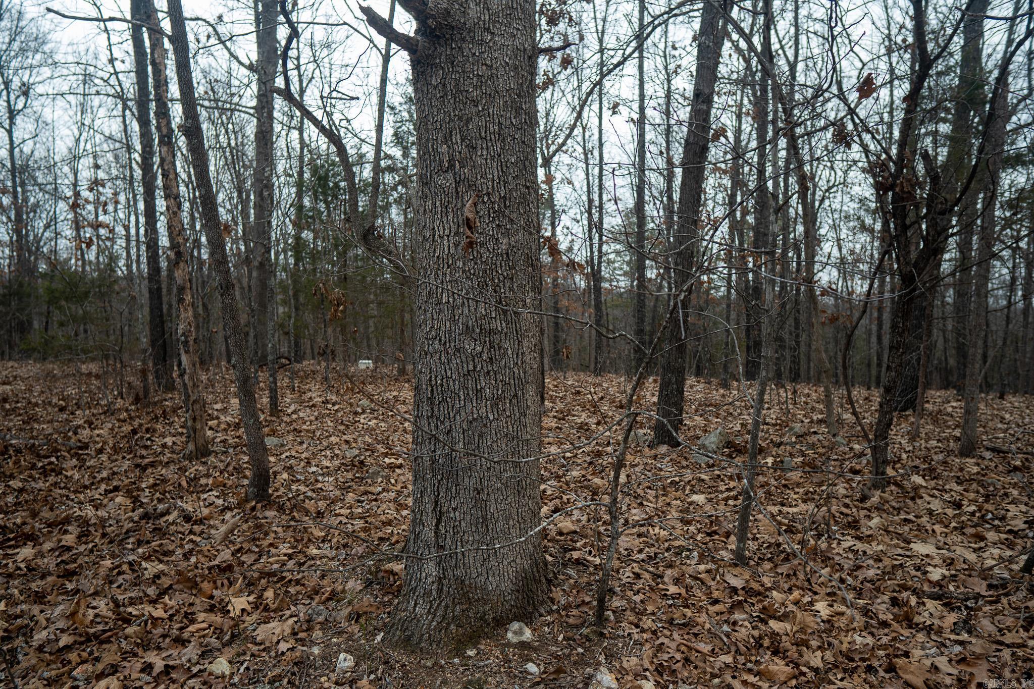 000 Nubbin Ridge Road Property Photo 4
