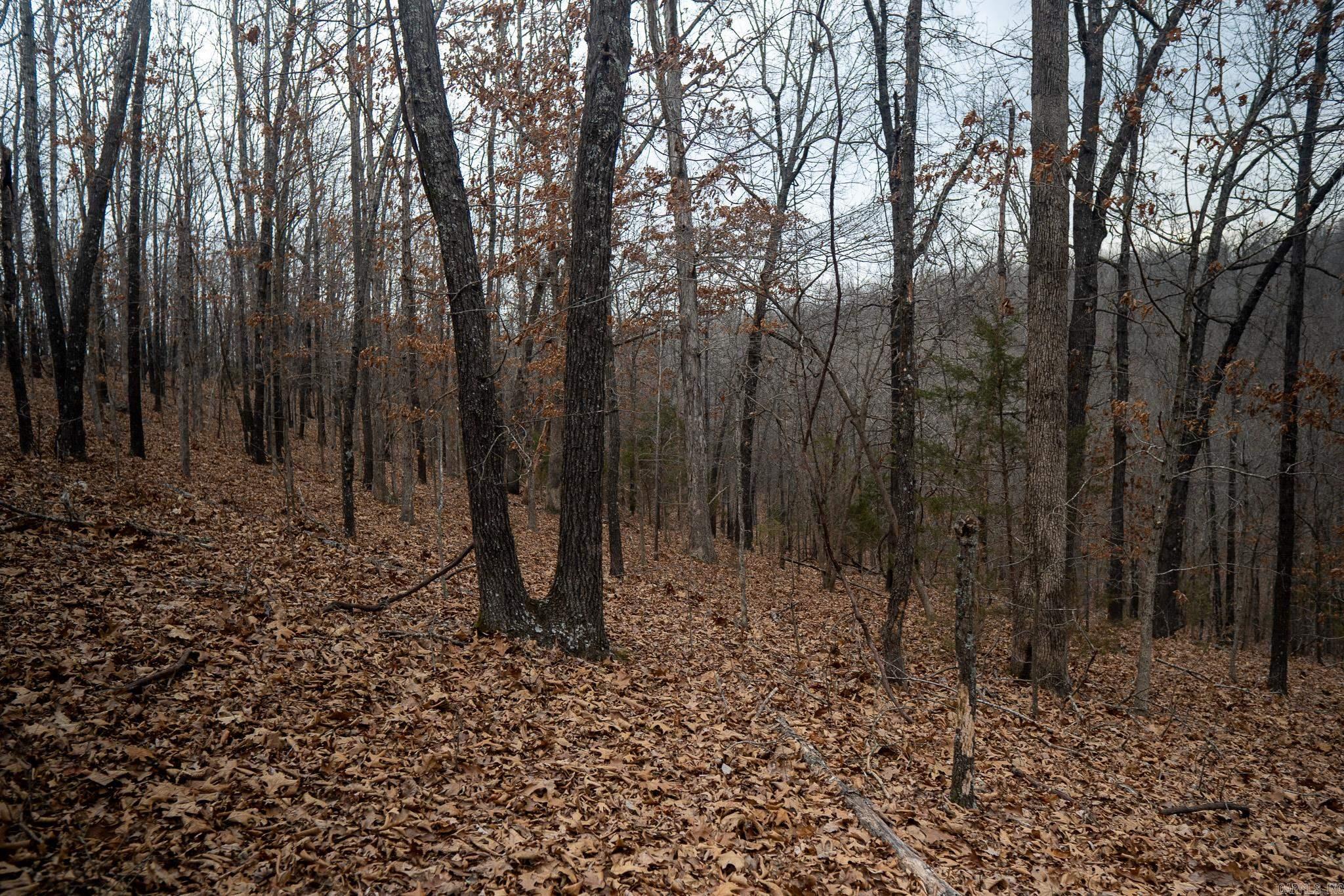 000 Nubbin Ridge Road Property Photo 5