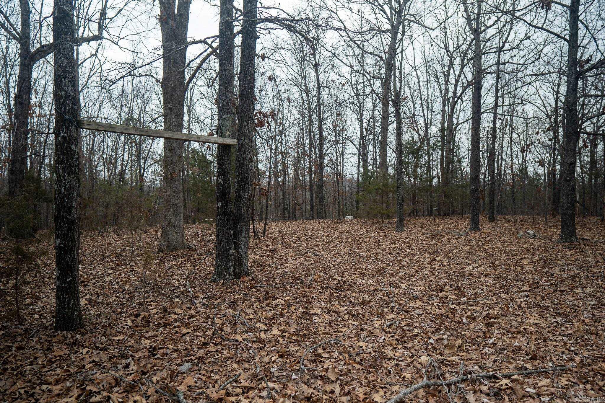 000 Nubbin Ridge Road Property Photo 6