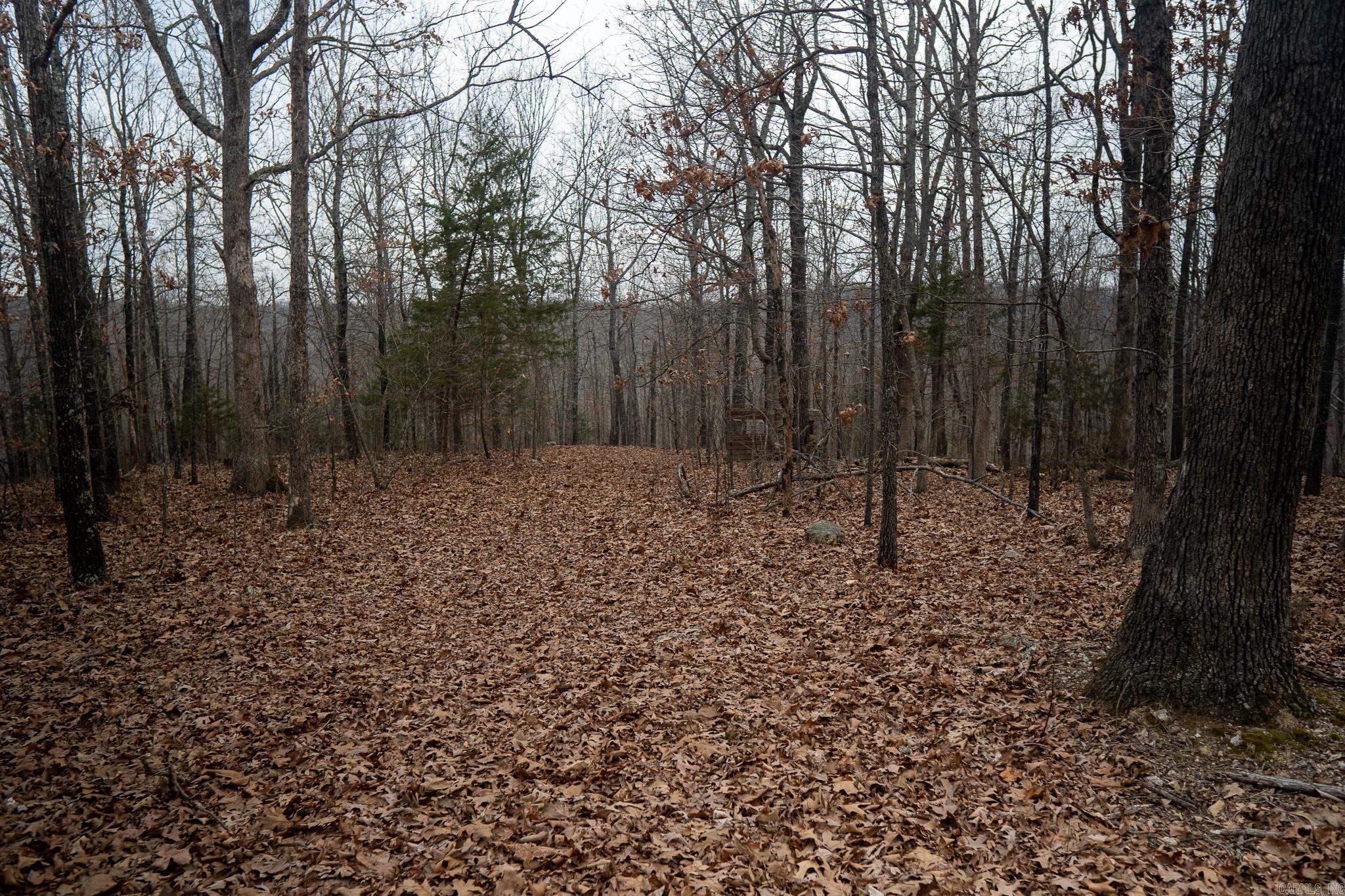 000 Nubbin Ridge Road Property Photo 7