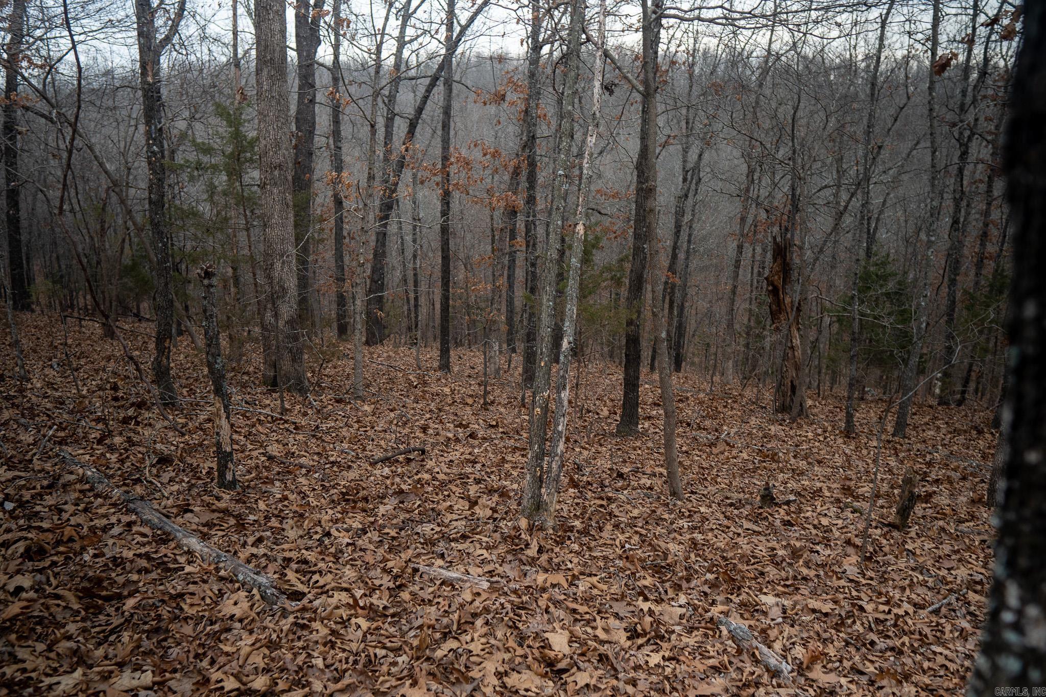 000 Nubbin Ridge Road Property Photo 8