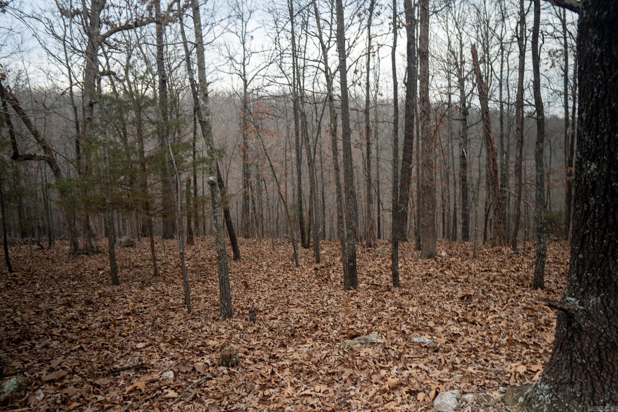 000 Nubbin Ridge Road Property Photo 9