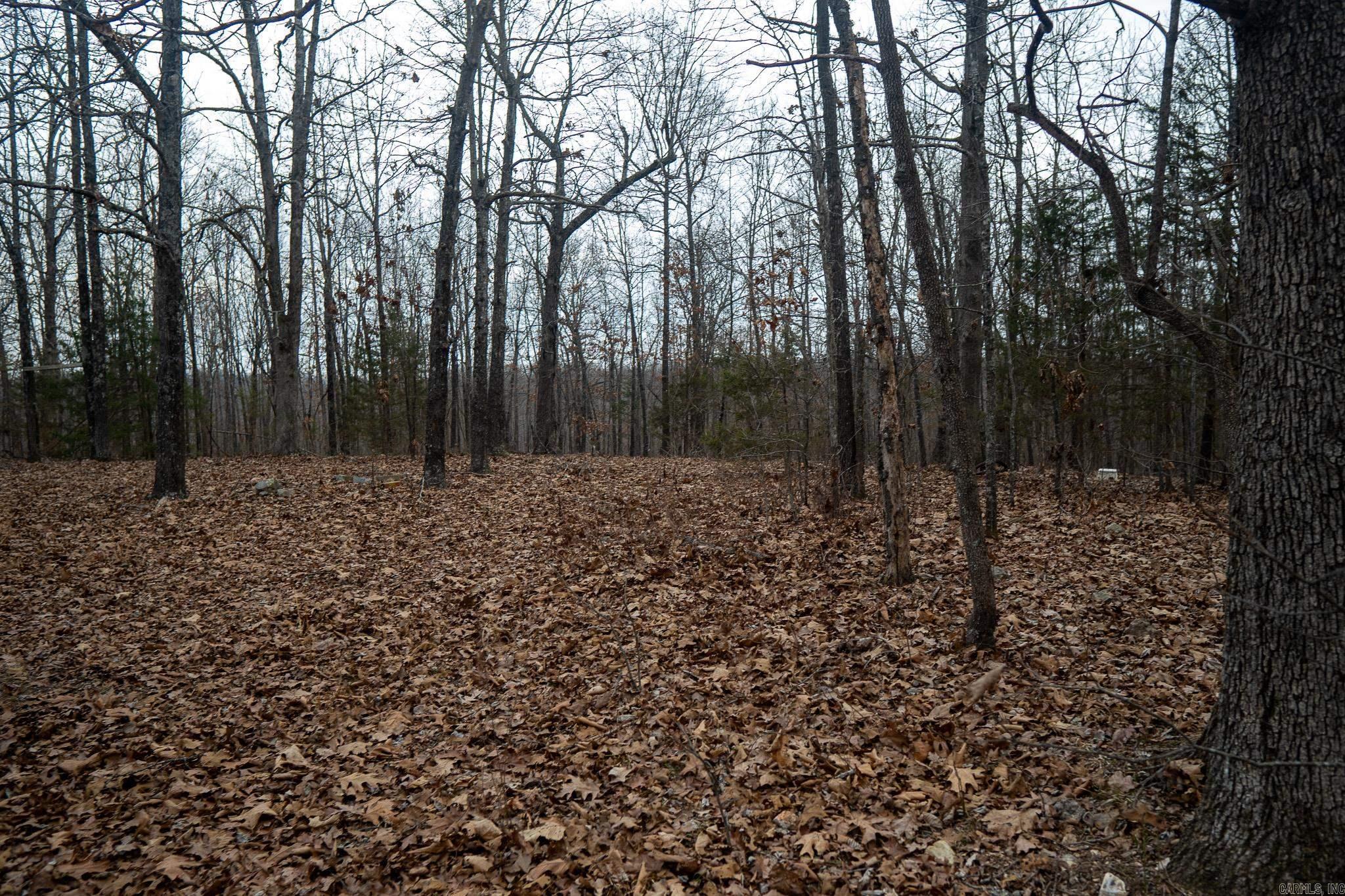 000 Nubbin Ridge Road Property Photo 10