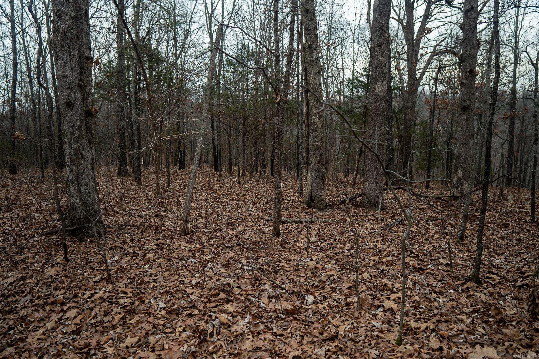 000 Nubbin Ridge Road Property Photo 11