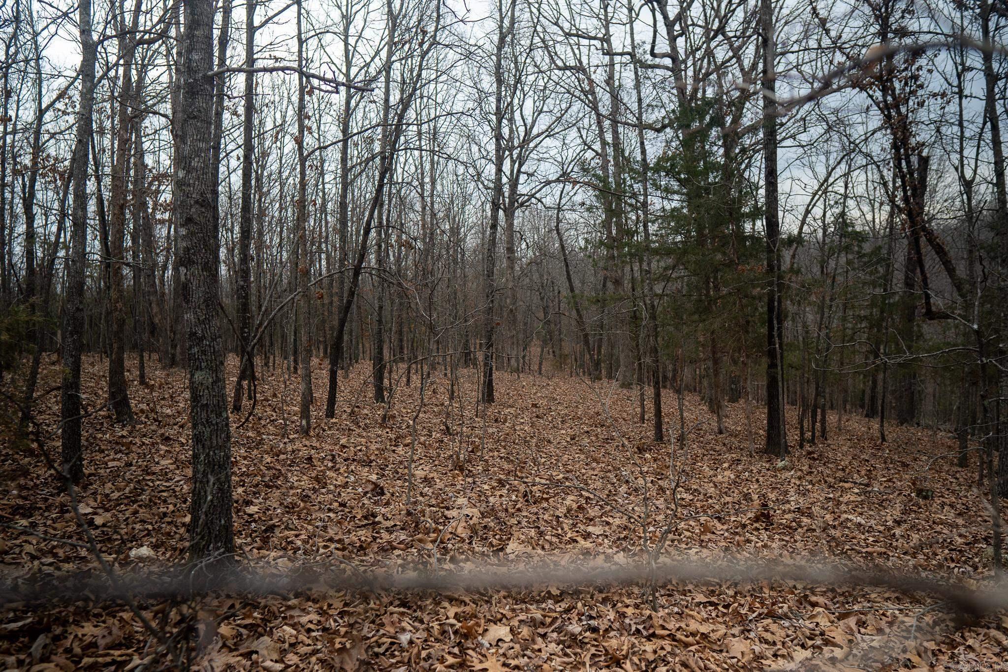 000 Nubbin Ridge Road Property Photo 12