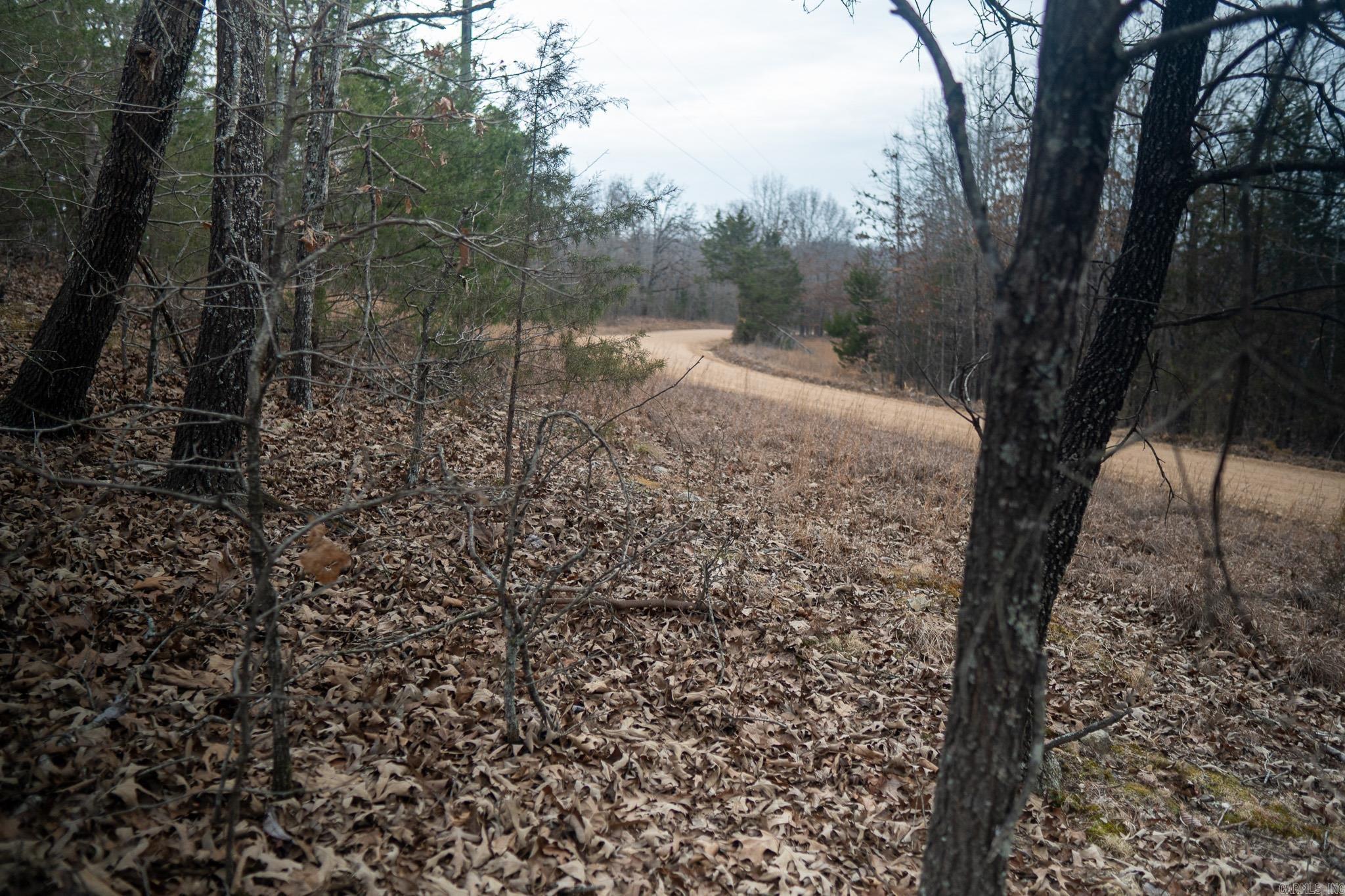 000 Nubbin Ridge Road Property Photo 13