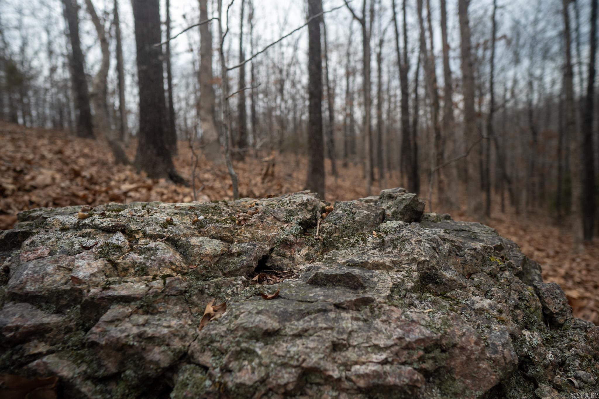 000 Nubbin Ridge Road Property Photo 14