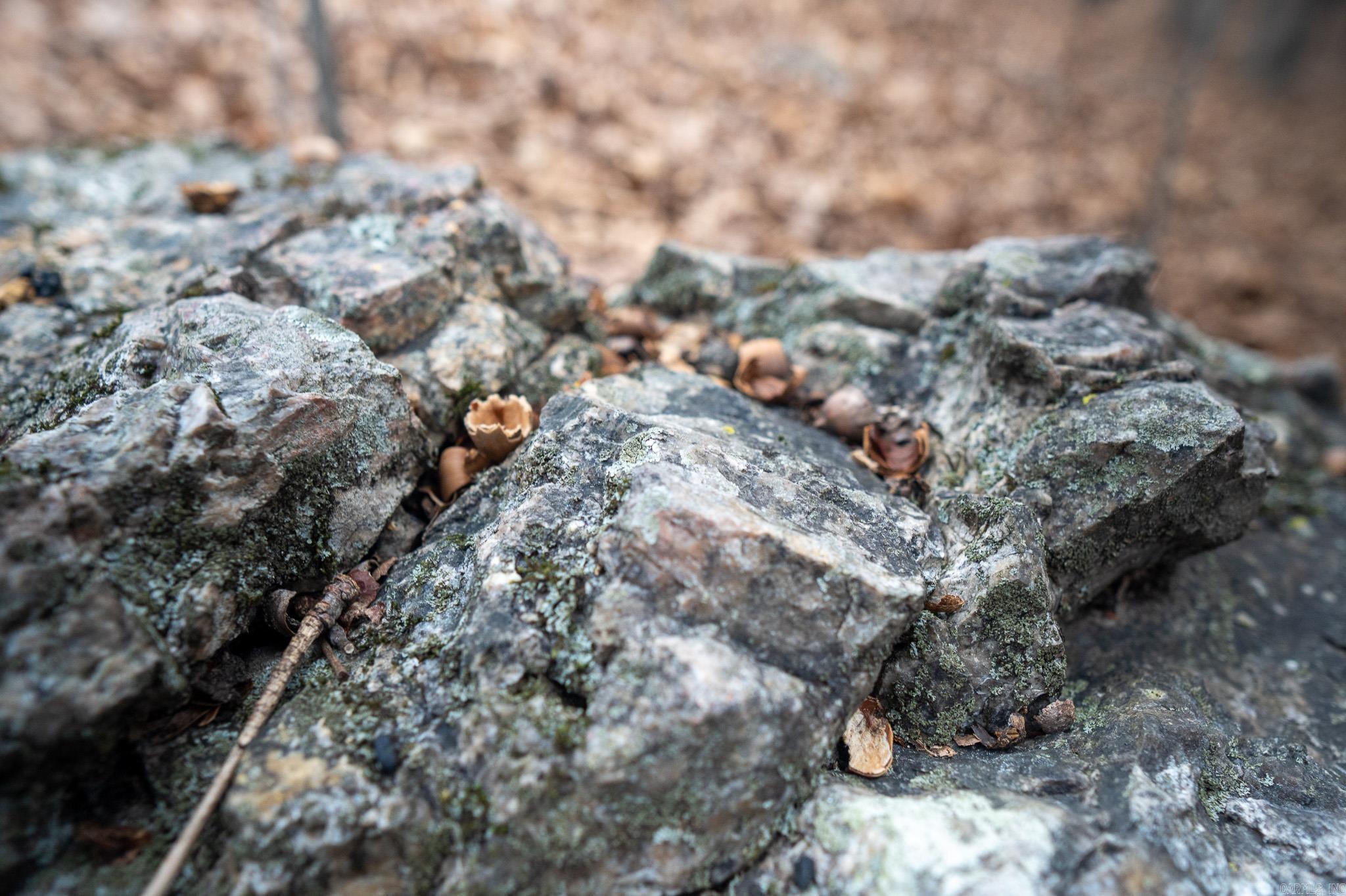 000 Nubbin Ridge Road Property Photo 15