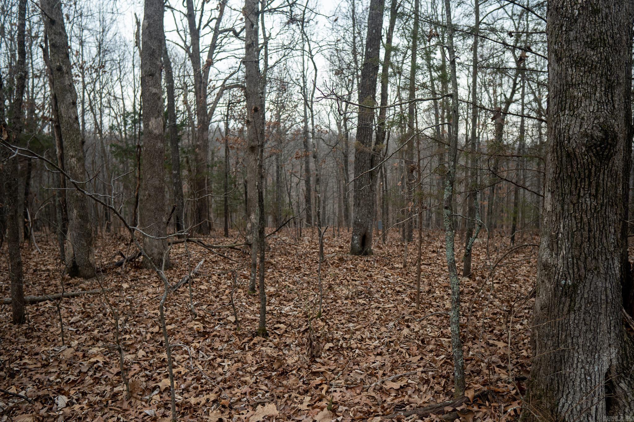 000 Nubbin Ridge Road Property Photo 16