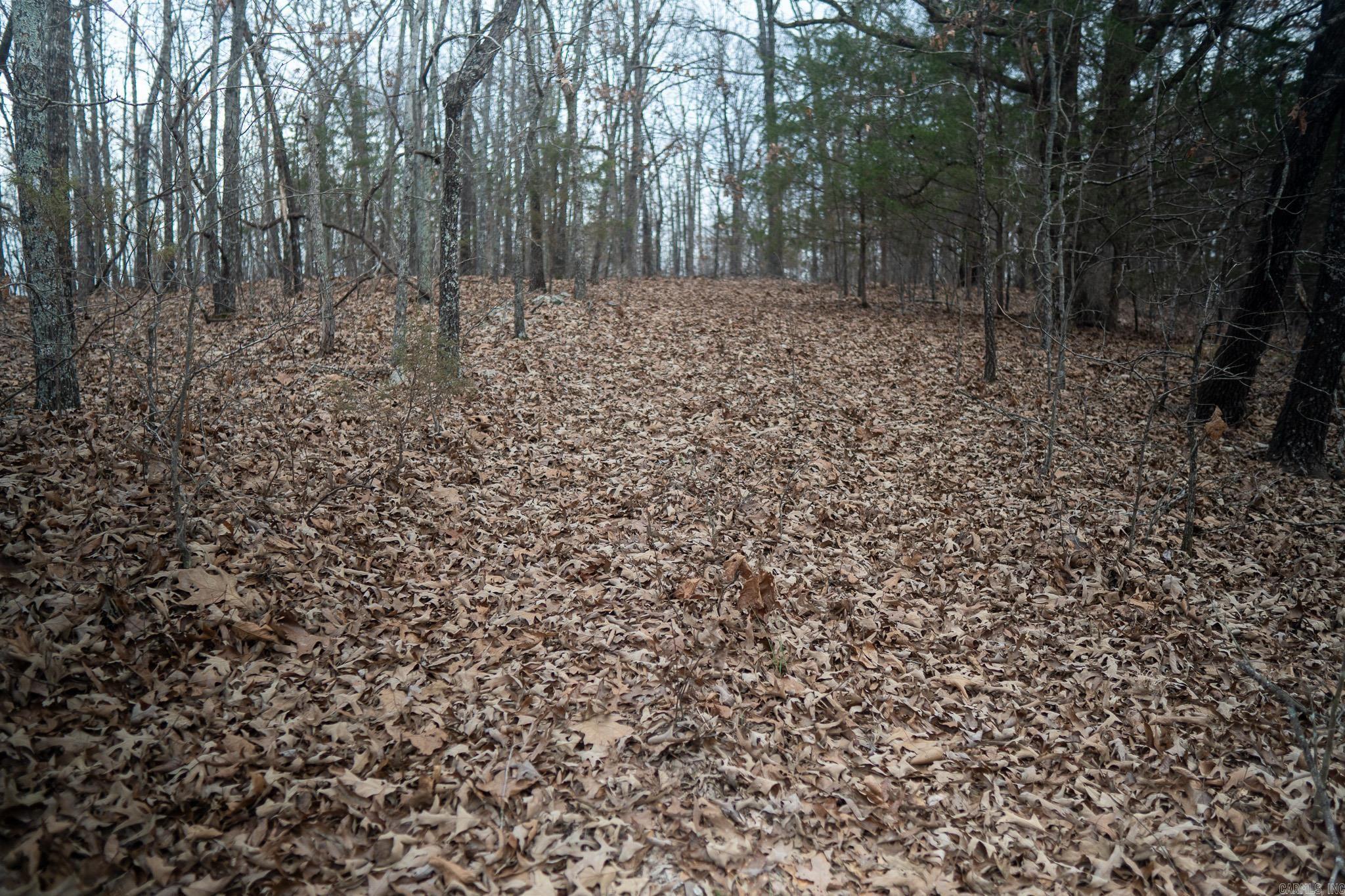 000 Nubbin Ridge Road Property Photo 30