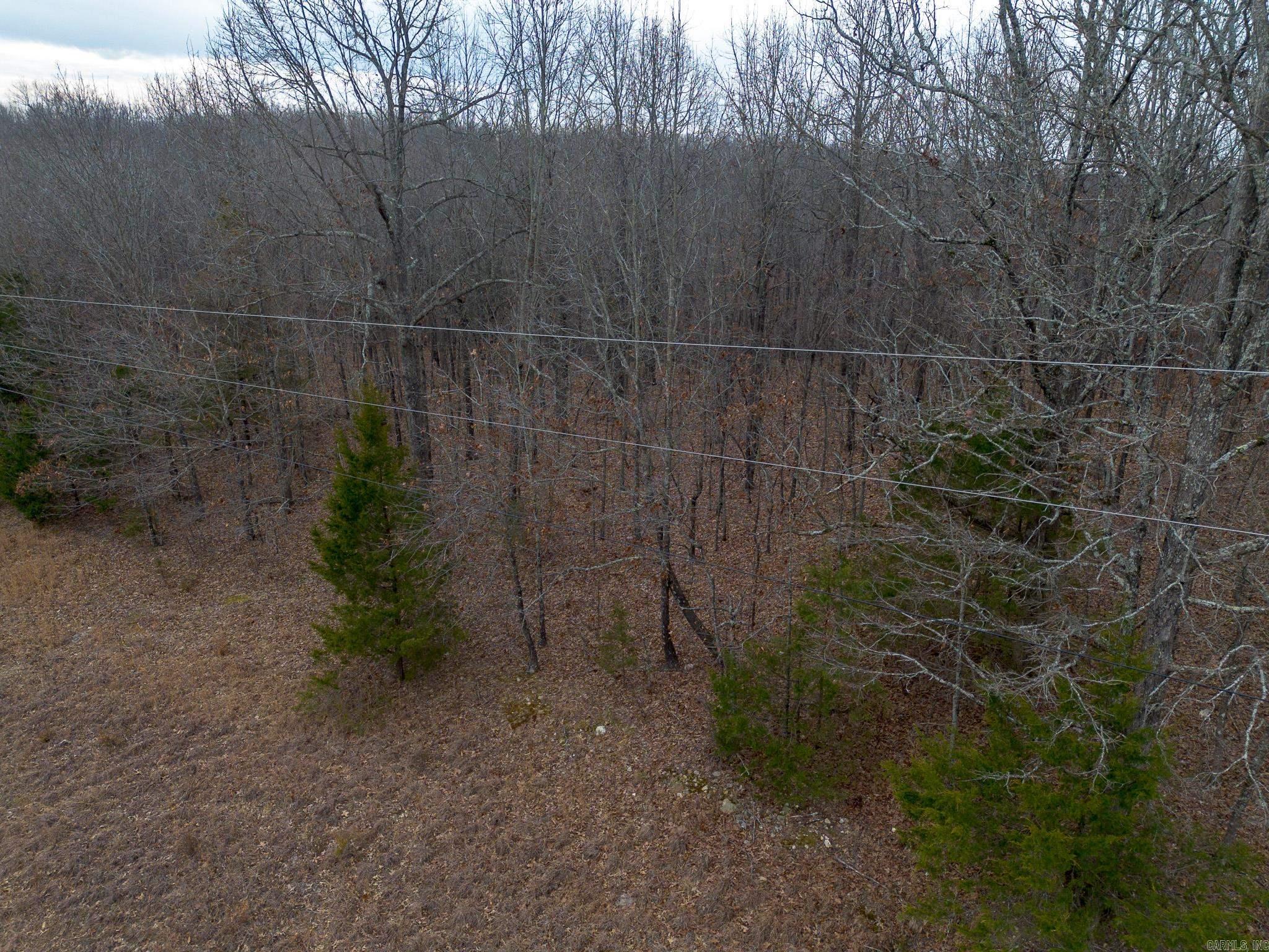 000 Nubbin Ridge Road Property Photo 31