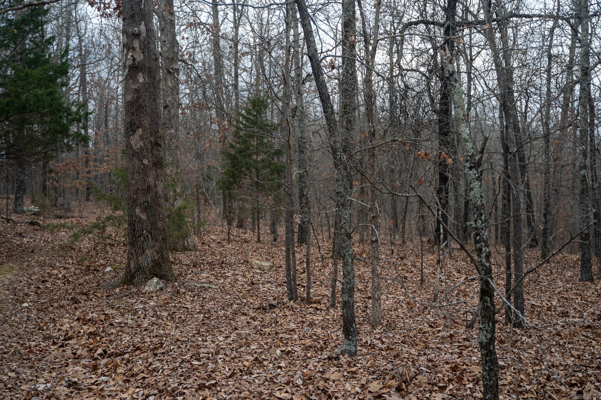 000 Nubbin Ridge Road Property Photo 36