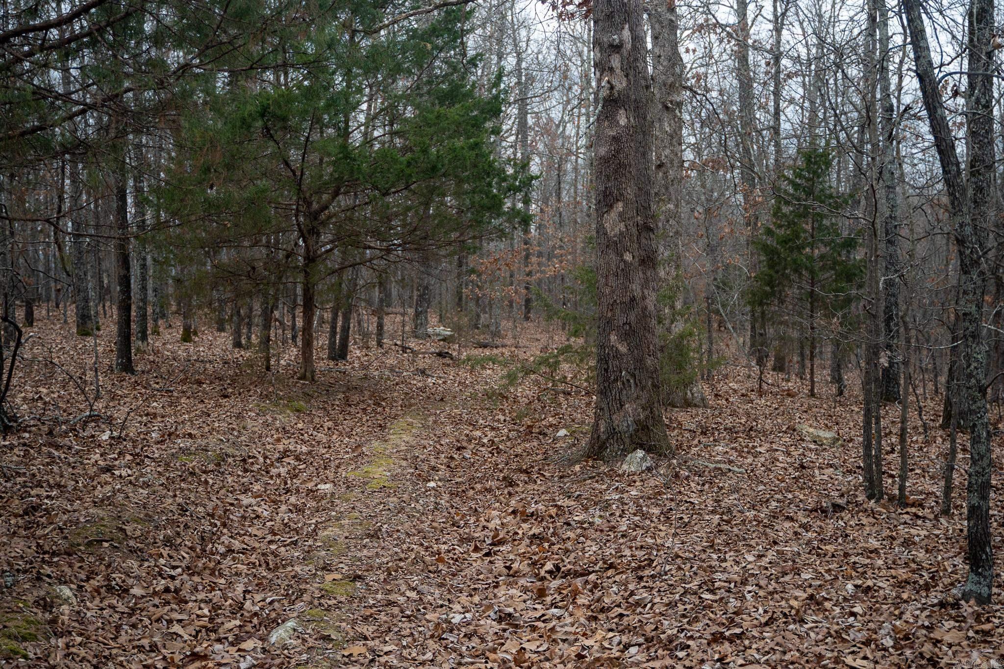 000 Nubbin Ridge Road Property Photo 37