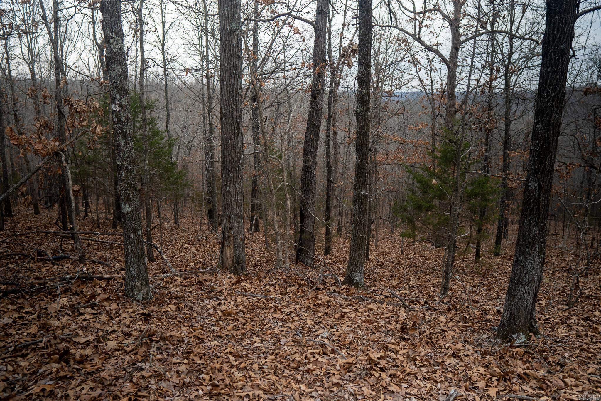 000 Nubbin Ridge Road Property Photo 39