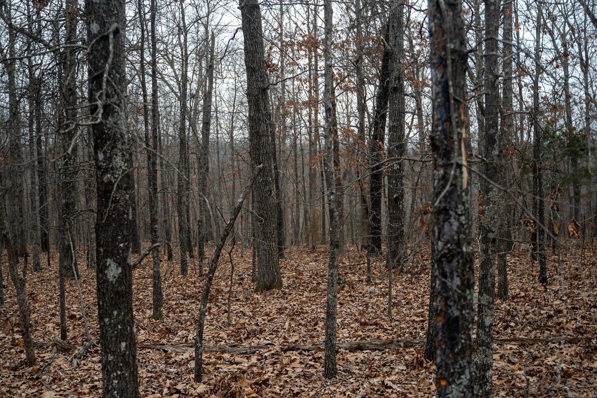 000 Nubbin Ridge Road Property Photo 40