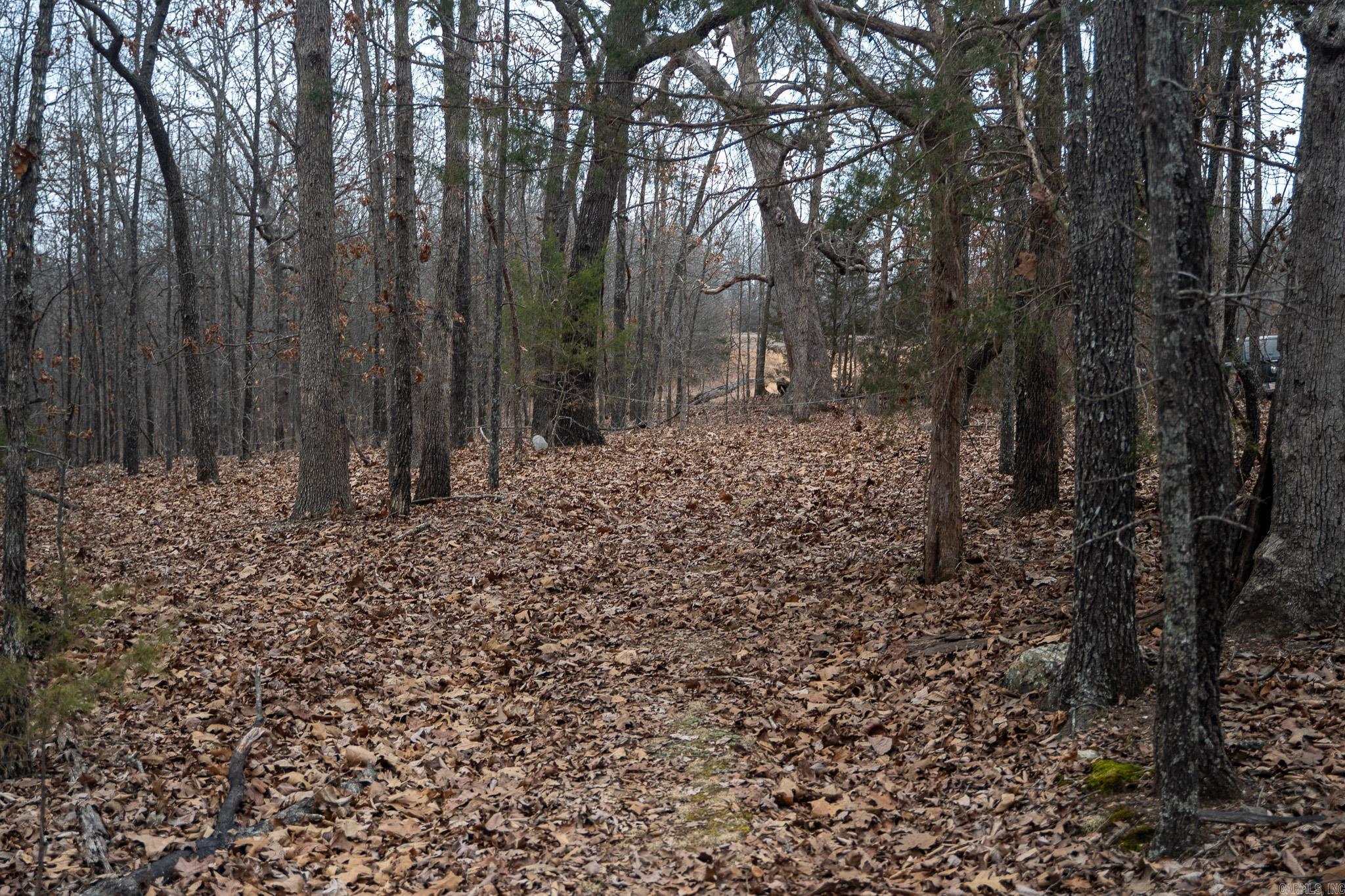000 Nubbin Ridge Road Property Photo 41