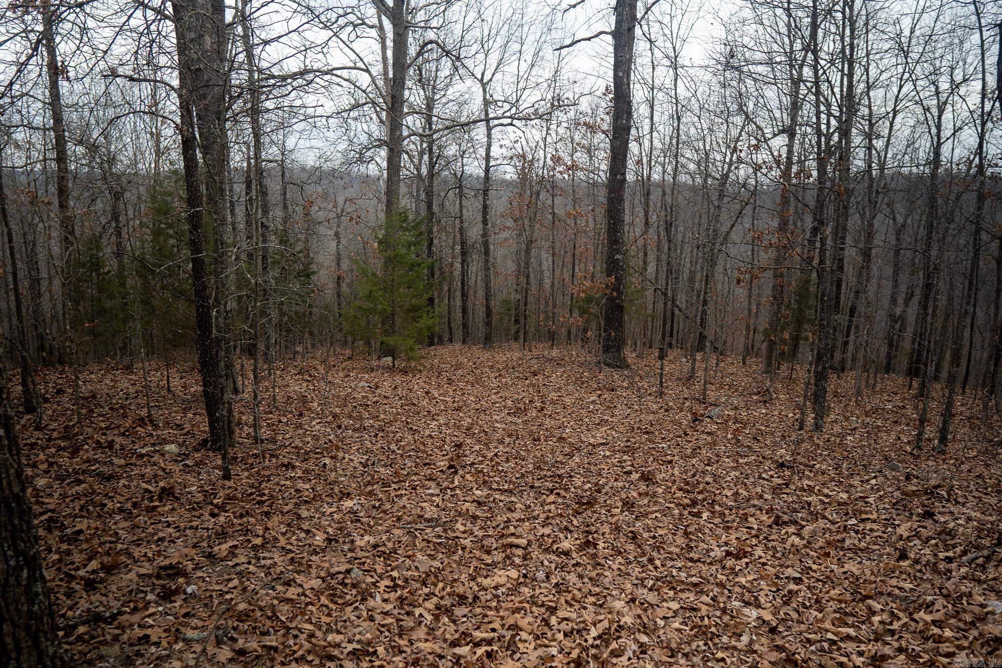 000 Nubbin Ridge Road Property Photo 42