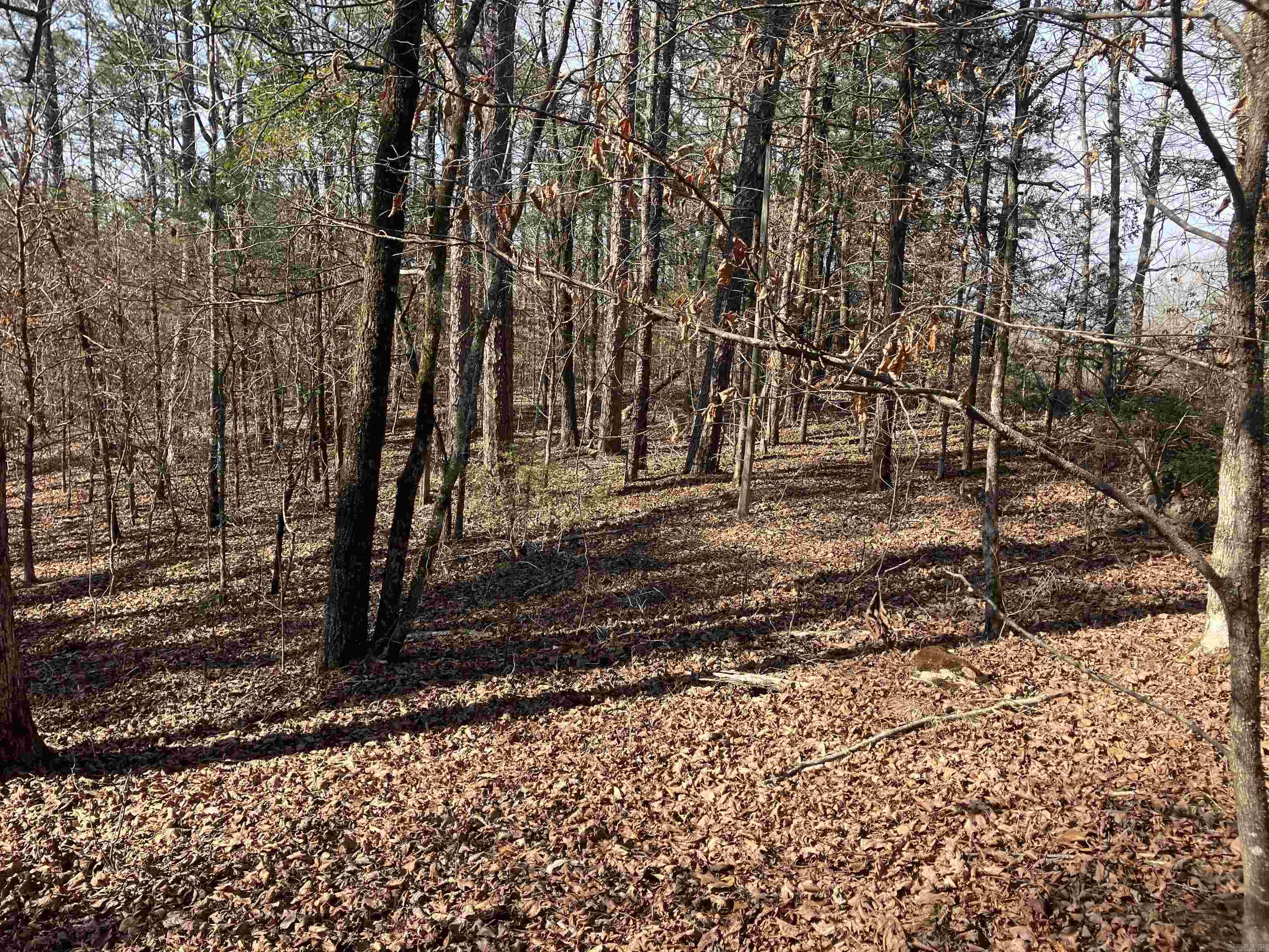 9999 Riverfront Drive Property Photo 2