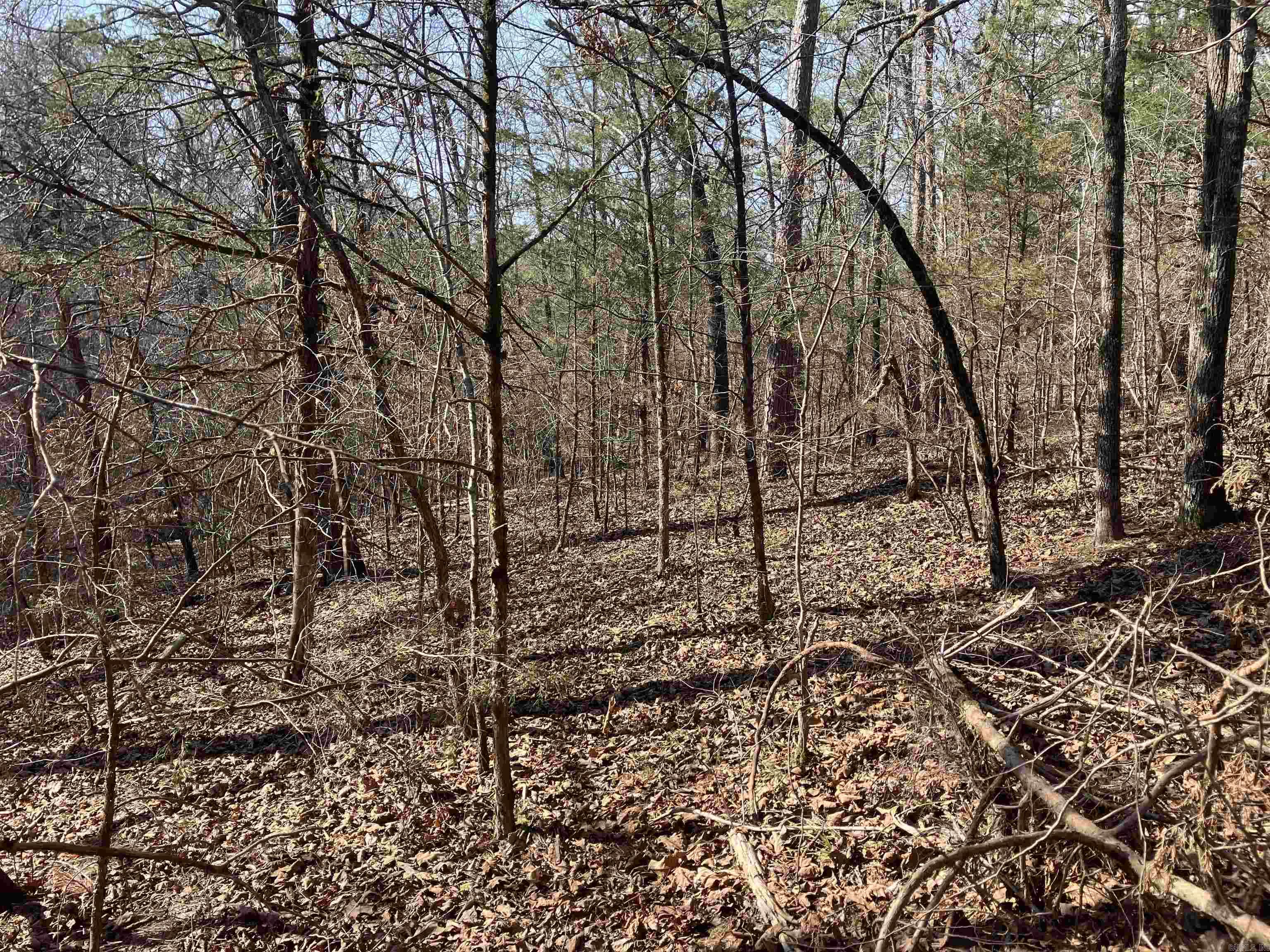 9999 Riverfront Drive Property Photo 3