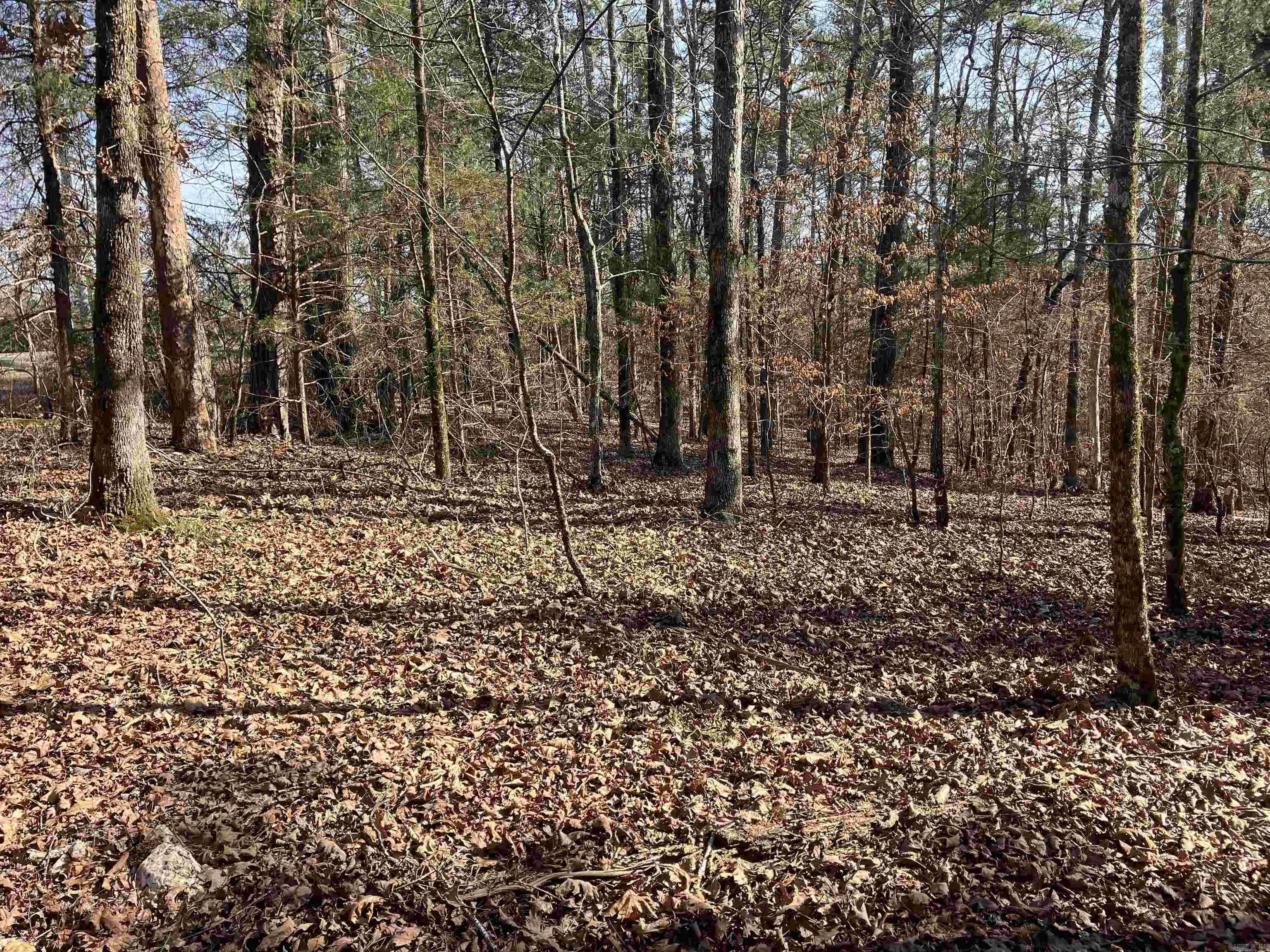 9999 Riverfront Drive Property Photo 4