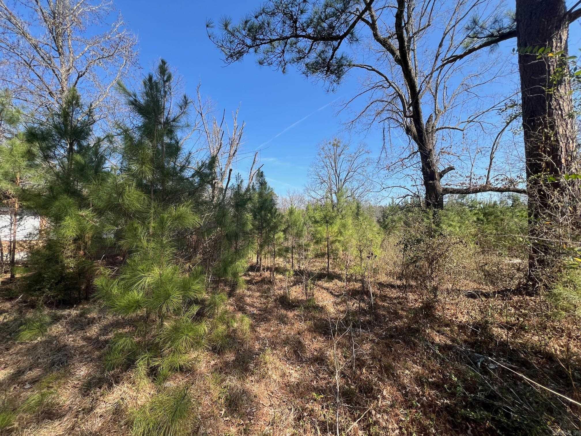 9417 Sulphur Springs Property Photo 2