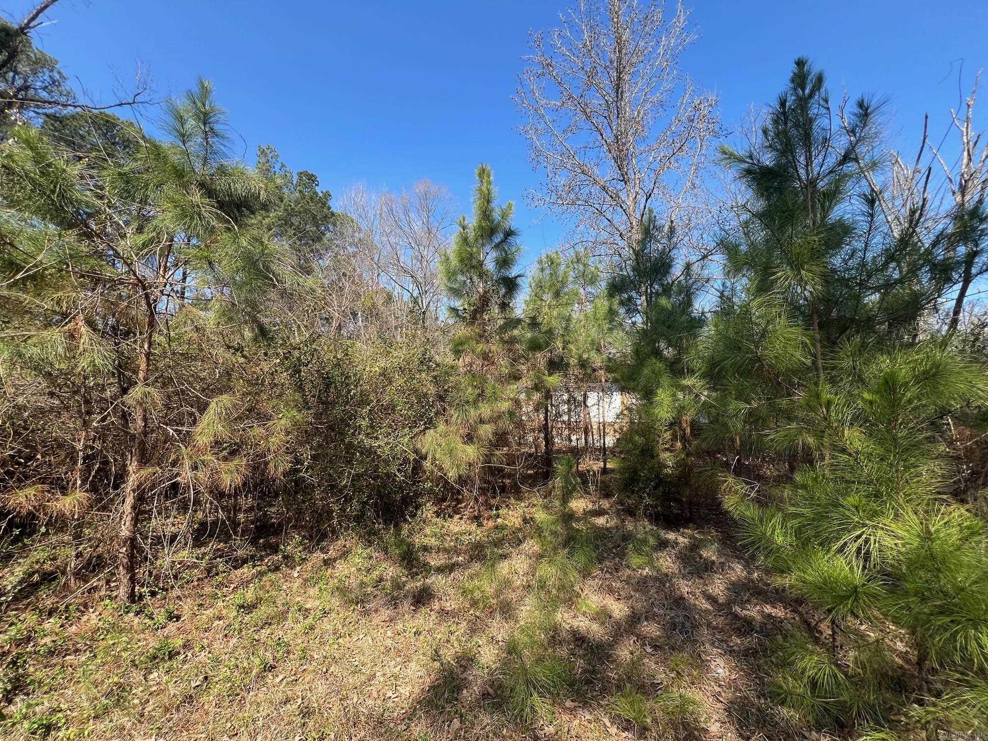 9417 Sulphur Springs Property Photo 3