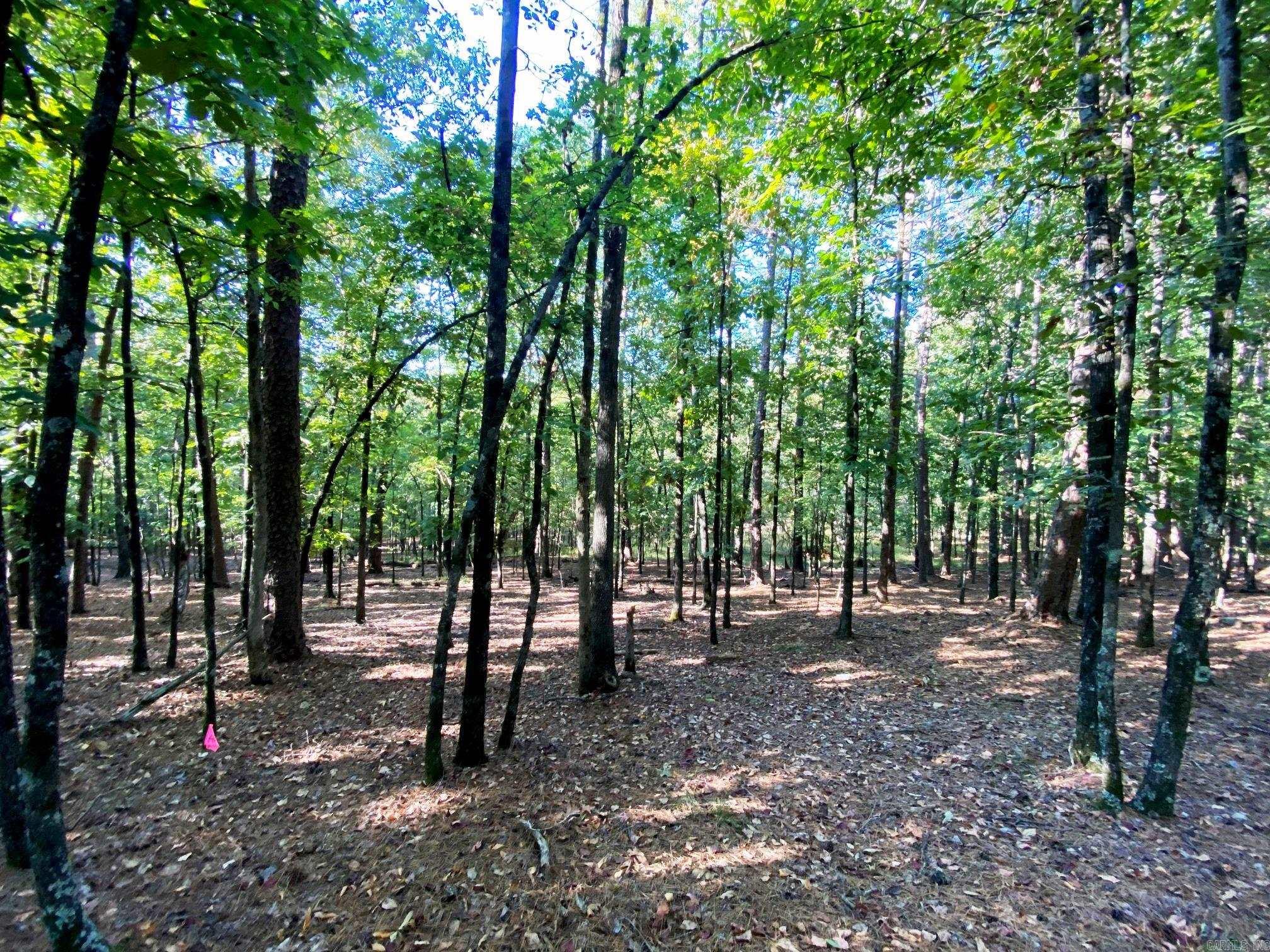 Tbd Foxridge Road Property Photo 3