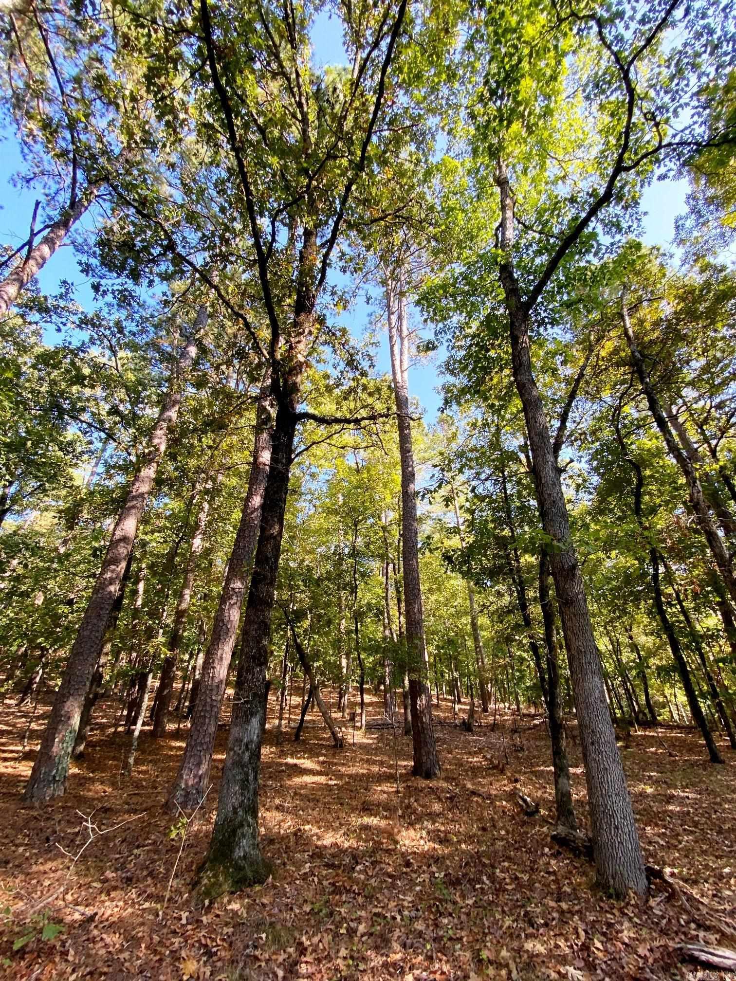 Tbd Foxridge Road Property Photo 5