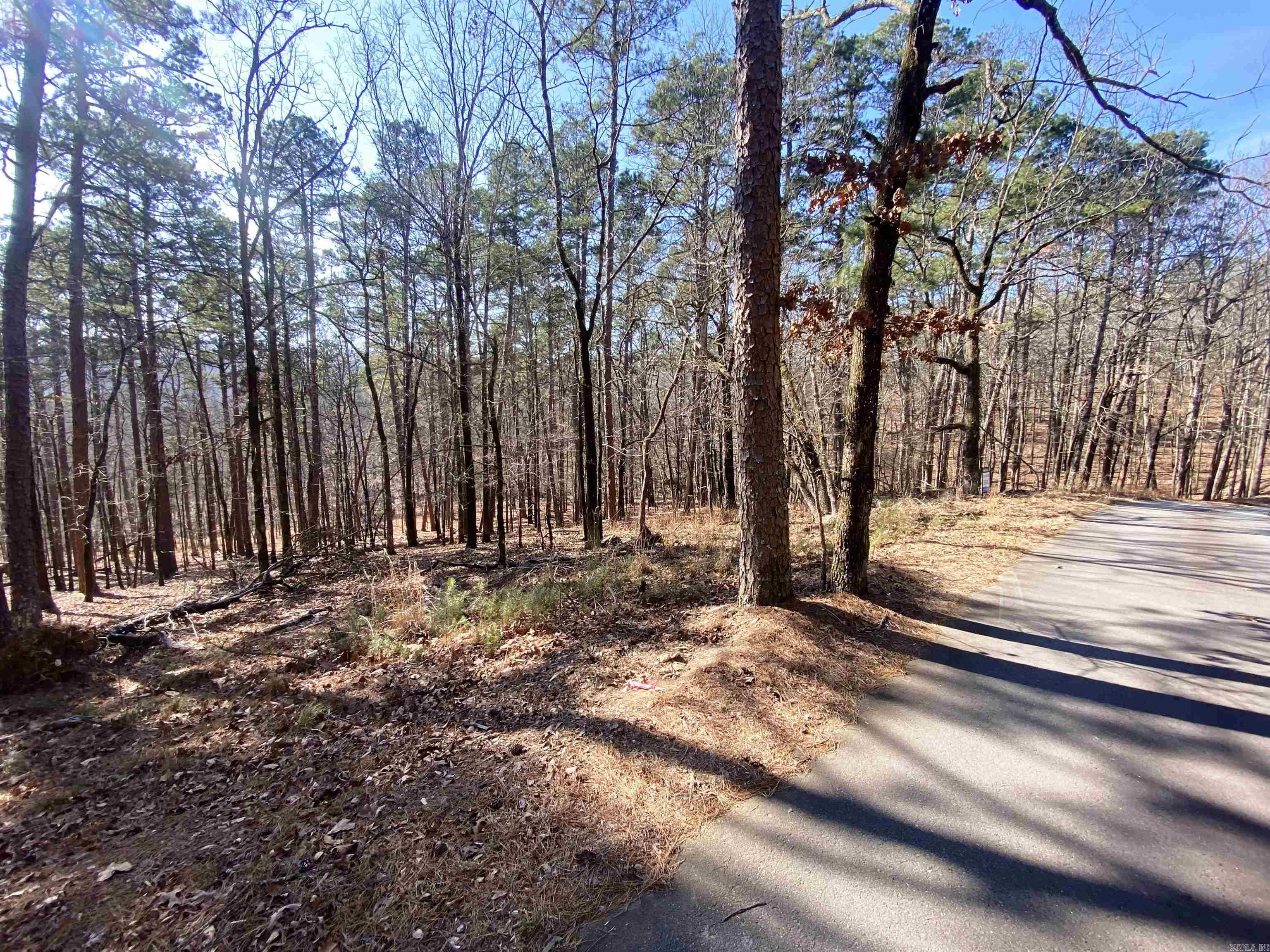 Tbd Foxridge Road Property Photo 6