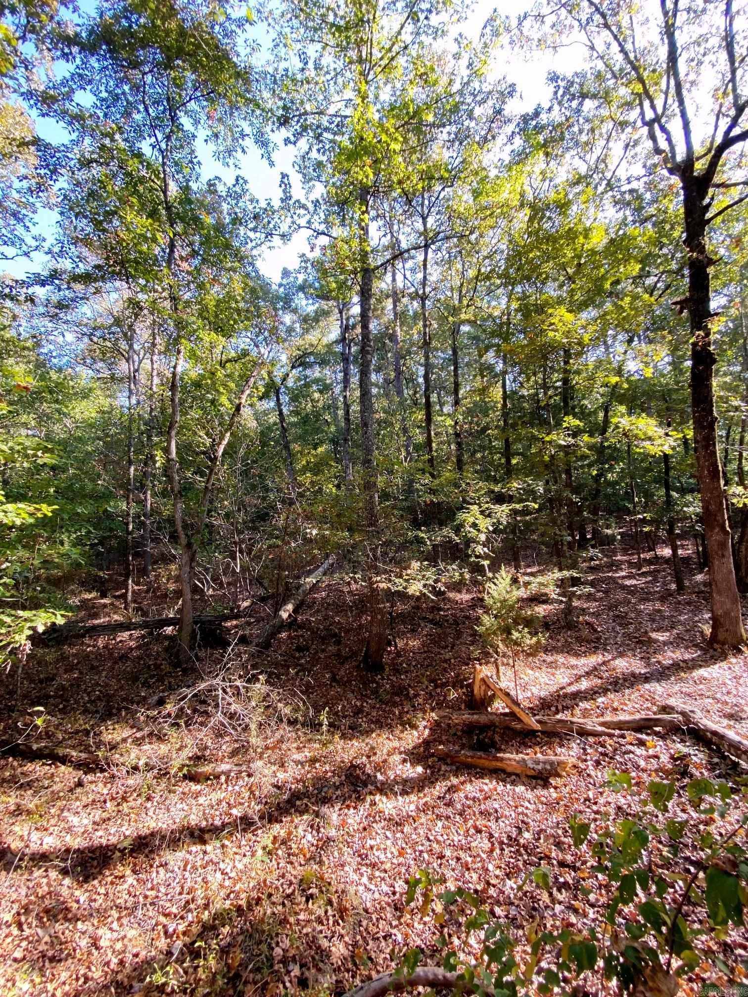Tbd Foxridge Road Property Photo 7