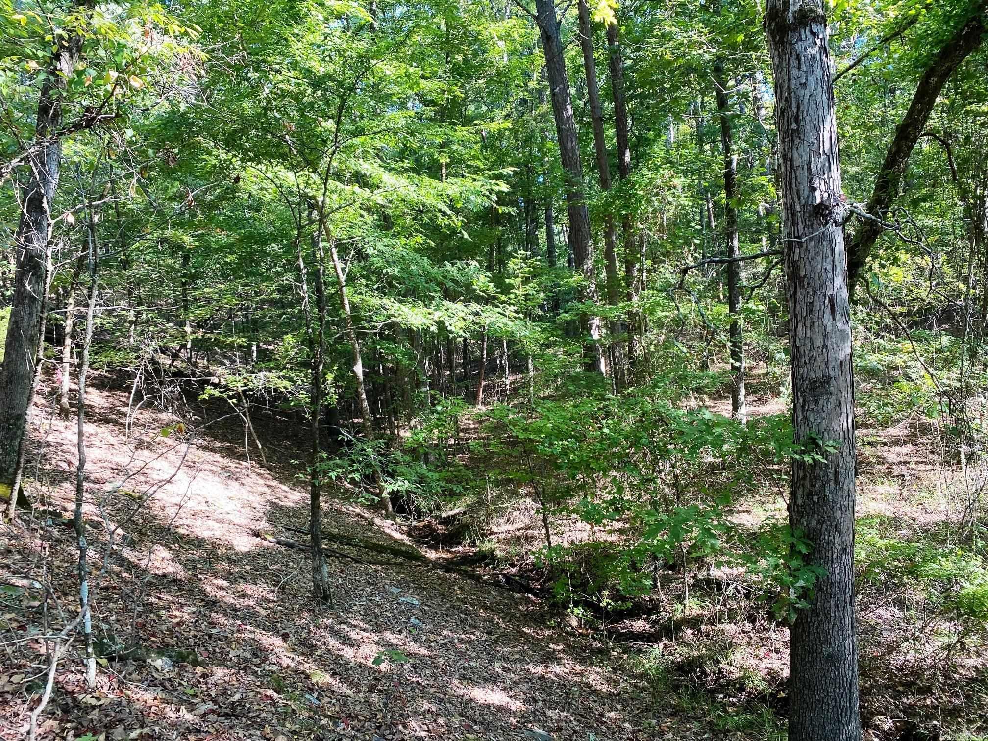 Tbd Foxridge Road Property Photo 8